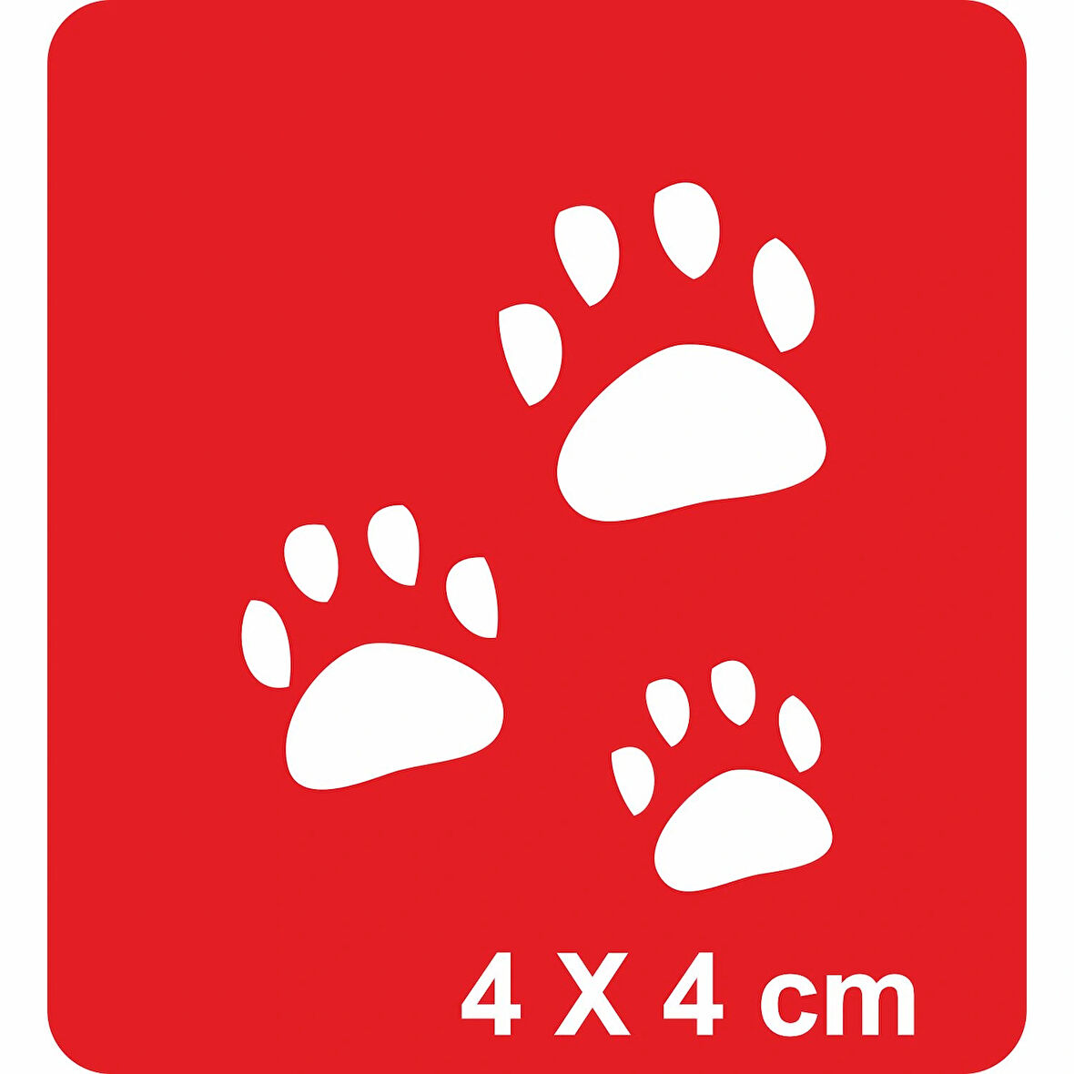 Pati Pati Tattoo Geçici Dövme Şablonları Kına Kalıpları