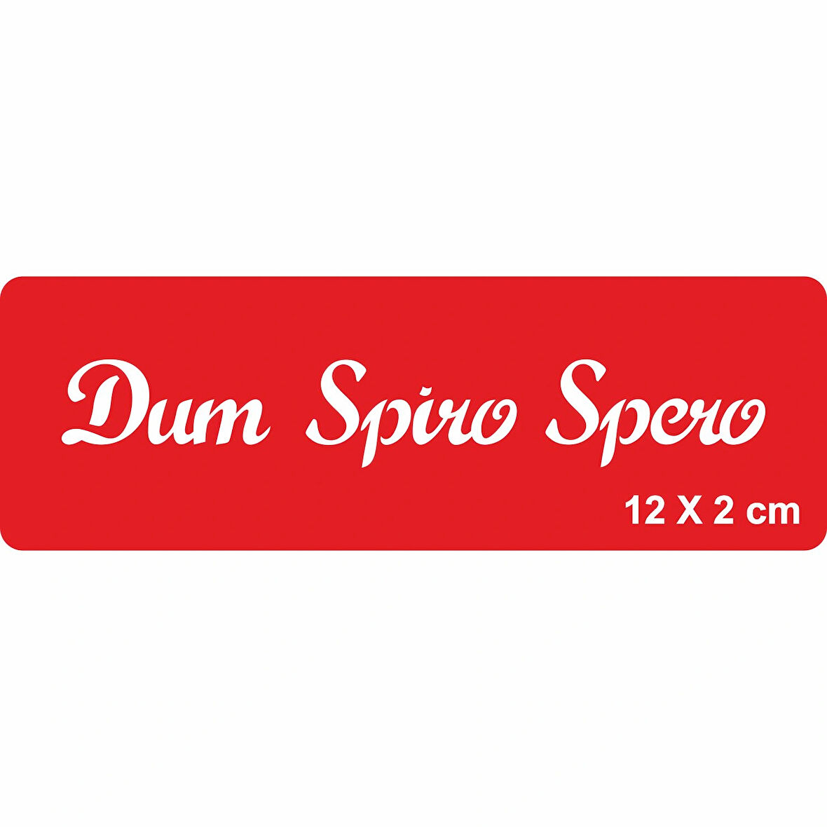 Nefes Aldığım Sürece Umut Edeceğim Tattoo Geçici Dövme Şablonları Kına Kalıpları