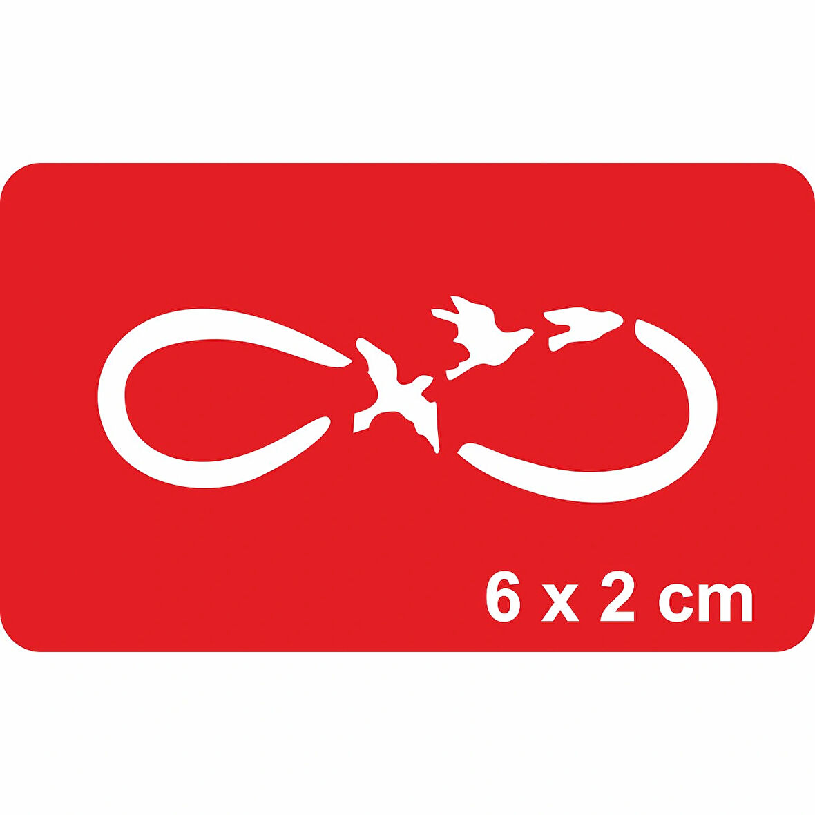 Sonsuza Dek Özgürdür Kuşlar Tattoo Geçici Dövme Şablonları Kına Kalıpları