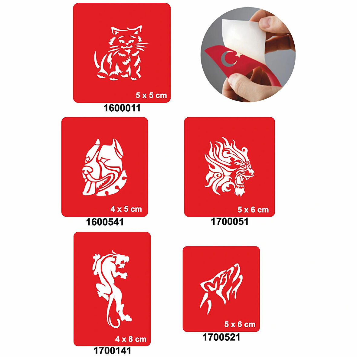 Kedigiller 5'li Set Geçici Dövme Kına Şablonu