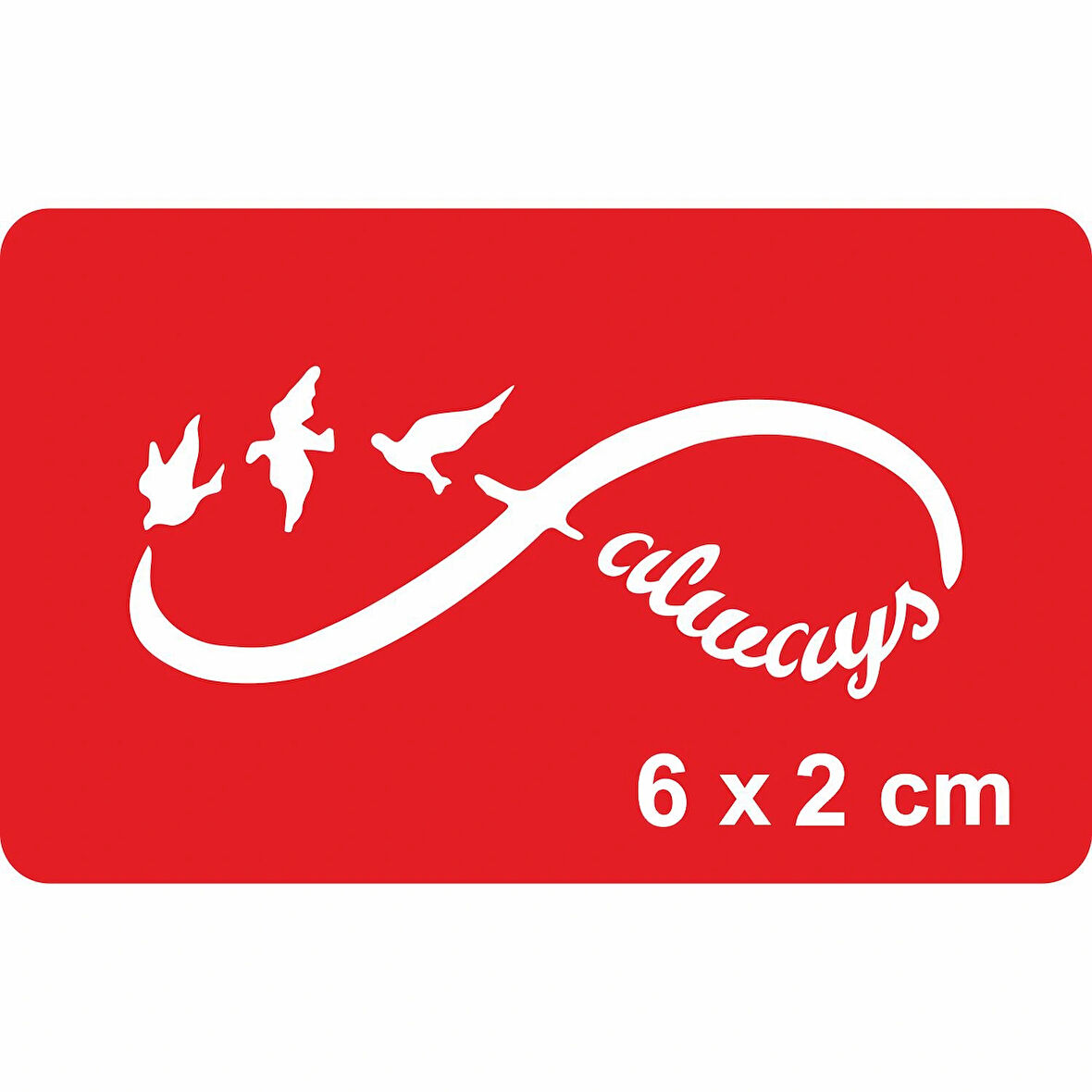 Sonsuz Kuşlar  Tattoo Geçici Dövme Şablonları Kına Kalıpları