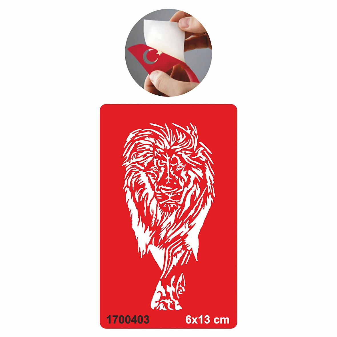 Asya Aslan  Tattoo Geçici Dövme Şablonları Kına Kalıpları