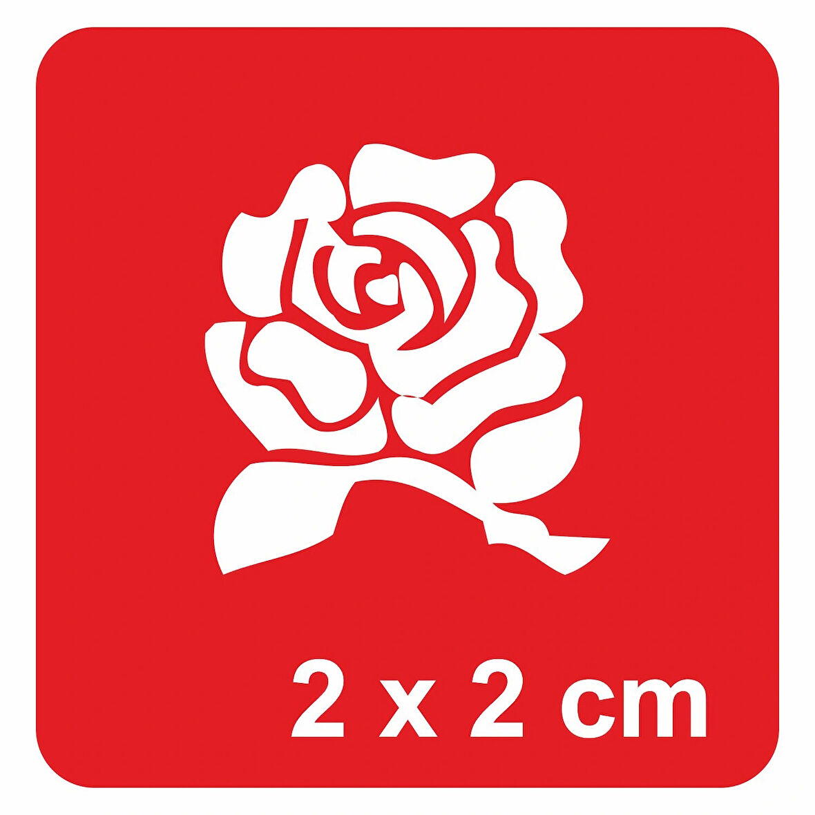 Gül Dalında Güzel Tattoo Geçici Dövme Şablonları Kına Kalıpları