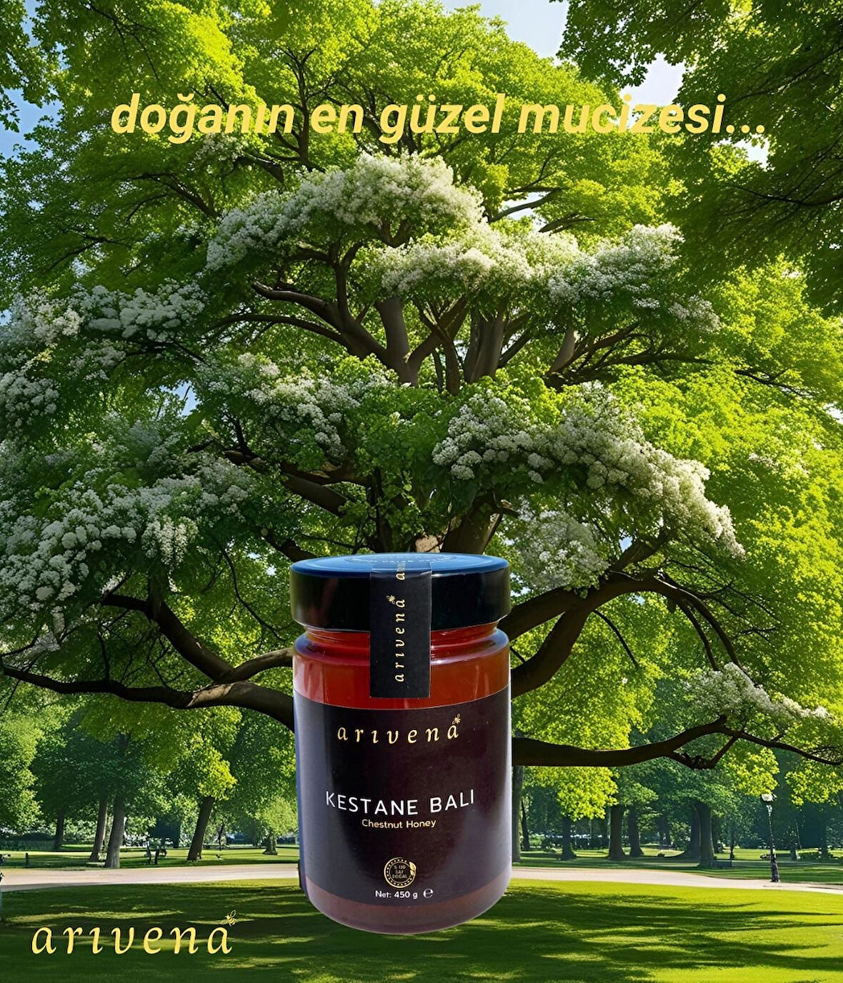 Kestane Balı %100 Saf ve Doğal 450g