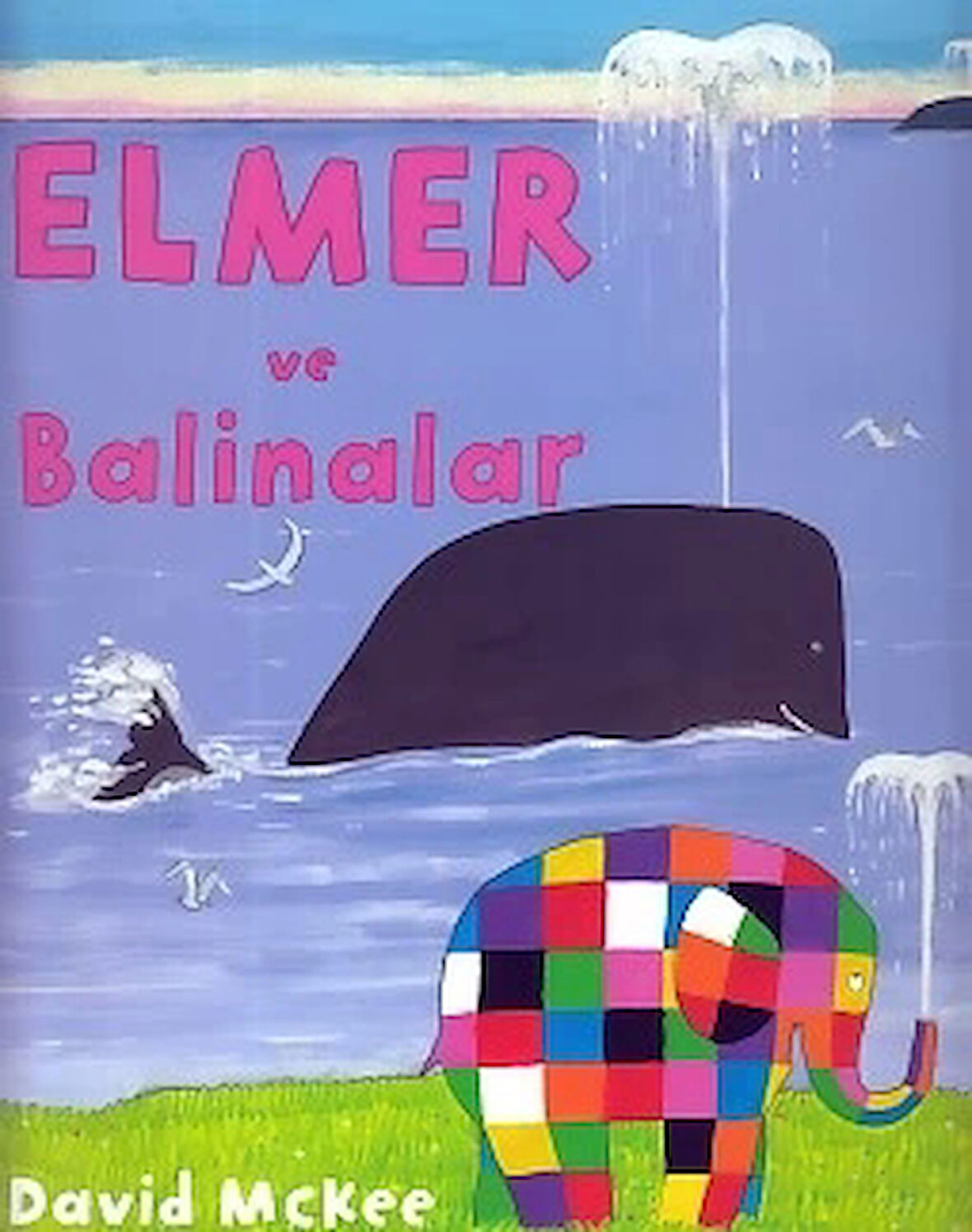 Elmer ve Balinalar