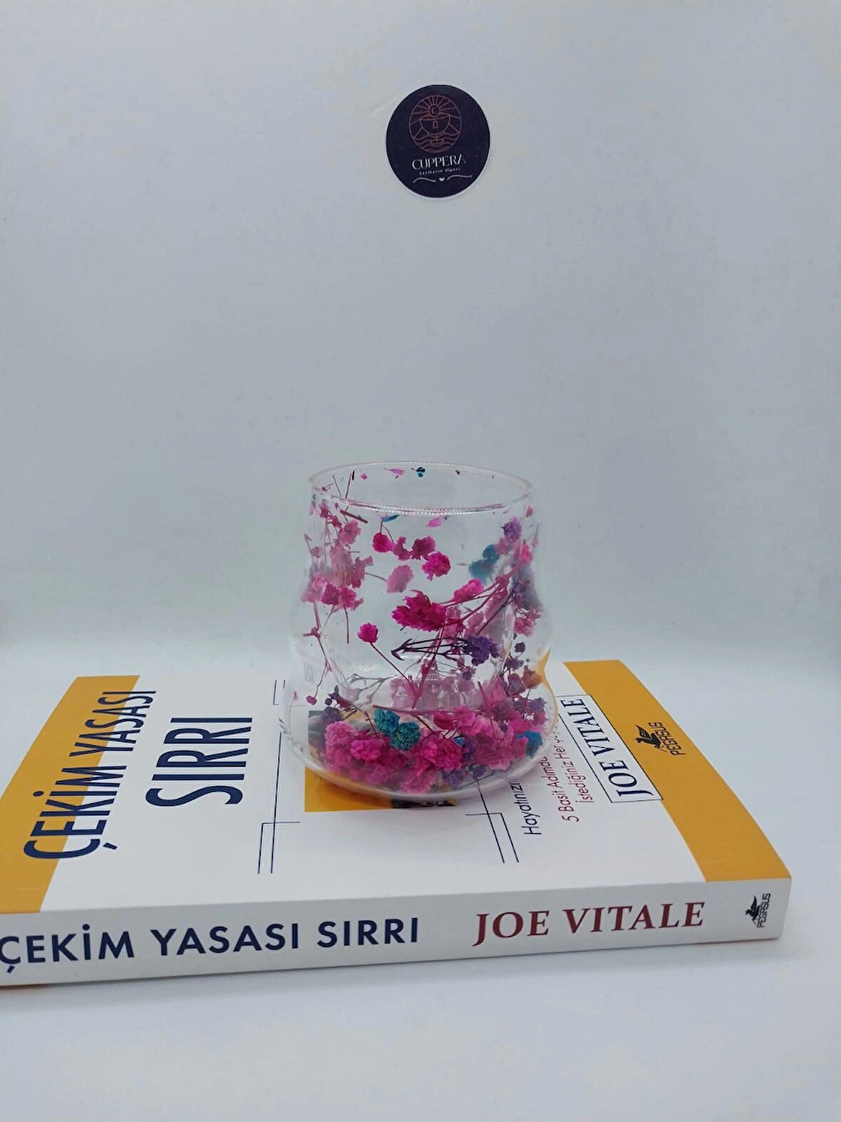Isıya Dayanıklı Canlı Kurutulmuş Çiçekli Çift Cidarlı Cam Kahve Kupası
