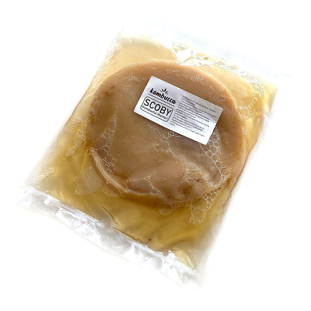 Kombuçça Organik Kombucha Mantarı Kombuça SCOBY - Kombu Çayı - Kambuça Kültürü Mayası