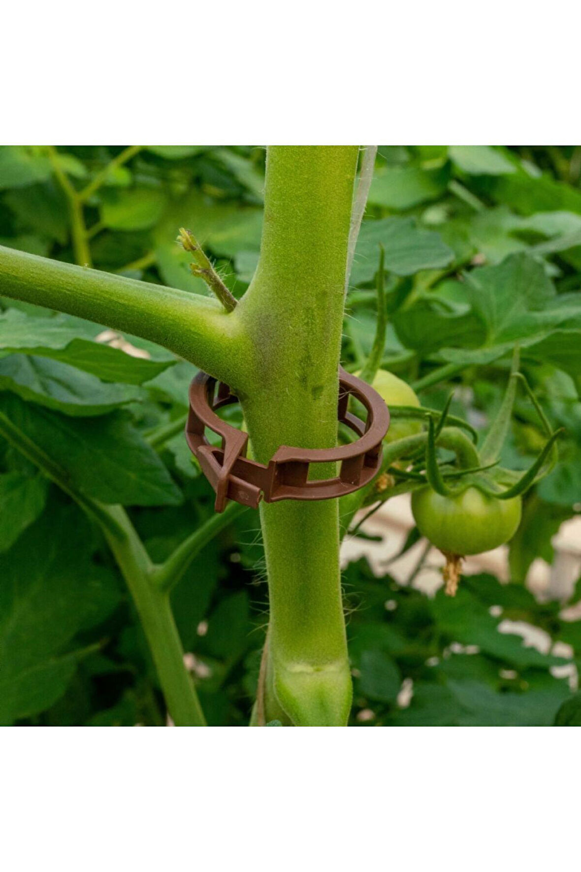 BİTKİ KLİPSİ 500 ADET 25 MM