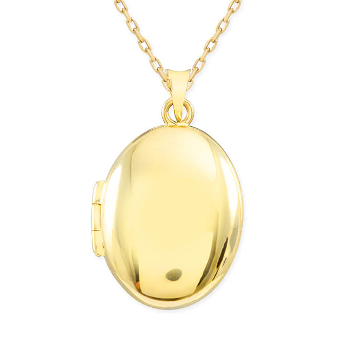 Oval İşlemesiz Altın Madalyon Kolye (KLY0196)