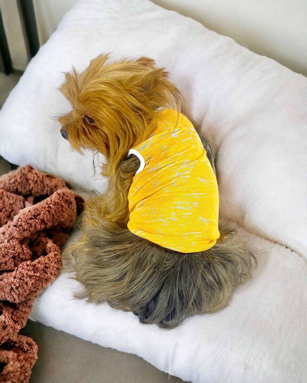 Orange Stripe Atlet Köpek Kıyafeti  Köpek Elbisesi