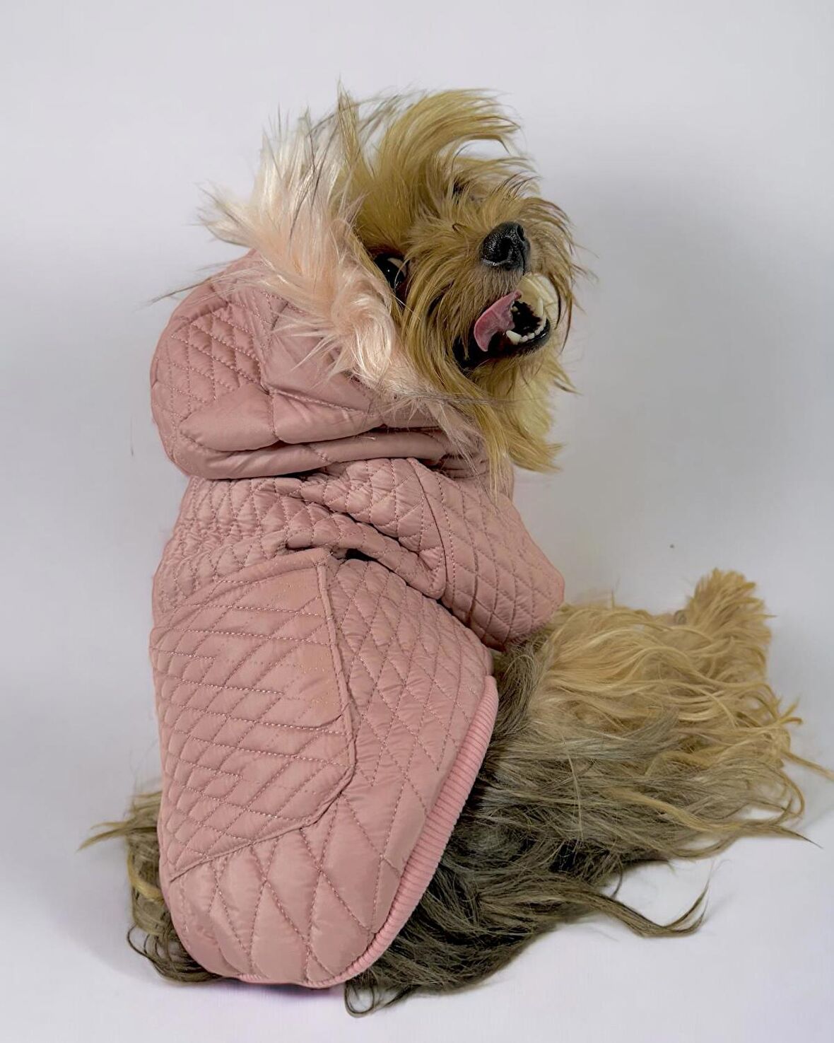 Pink Comfy Köpek Montu, Köpek Ceketi, Köpek Dış Giyim