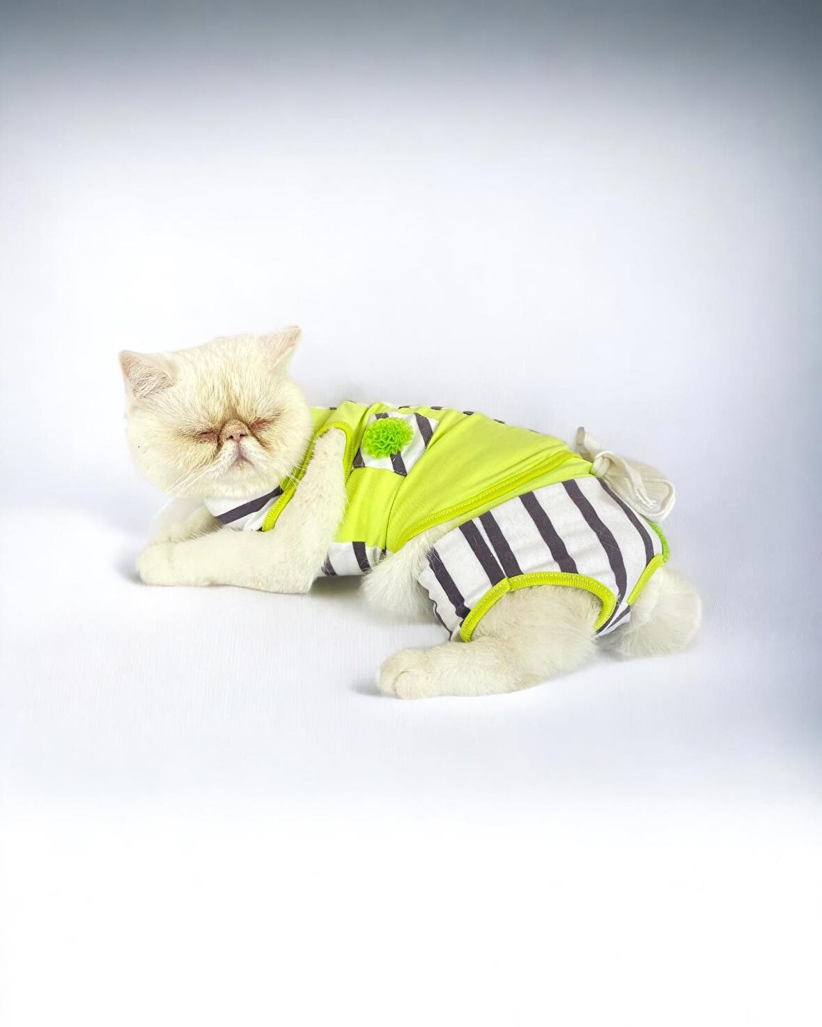 Lime Fuzz Tişört ve İç Çamaşırı Set Kedi Kıyafeti Kedi Kostümü