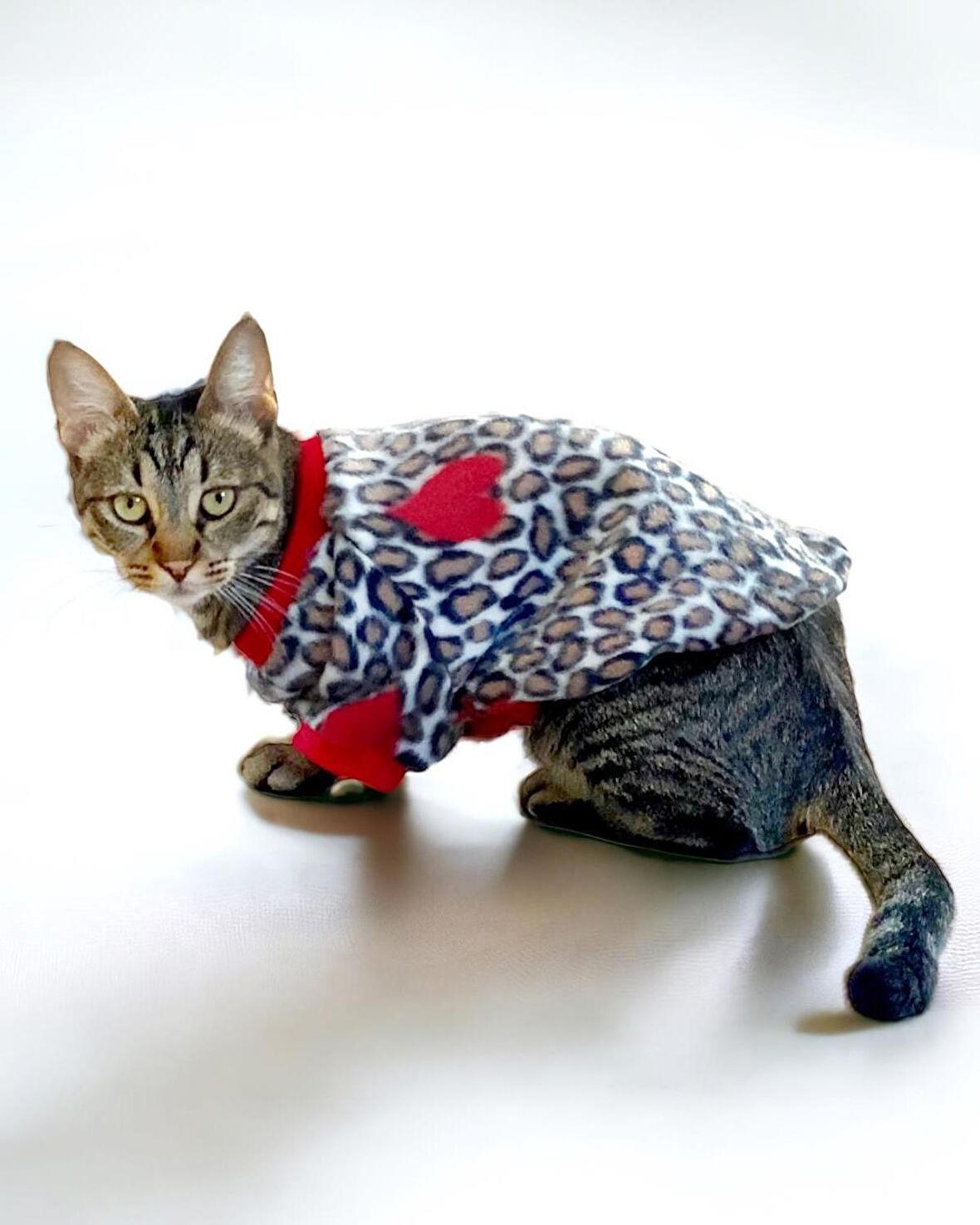 Animal Leo Print Sweat Kedi Süeteri Kedi Kıyafeti 