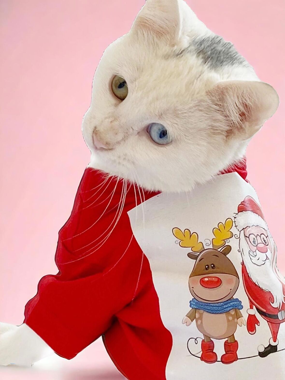 Santa and Friend Rudolph Kedi Tişörtü Yılbaşı Noel Christmas Kedi Elbisesi