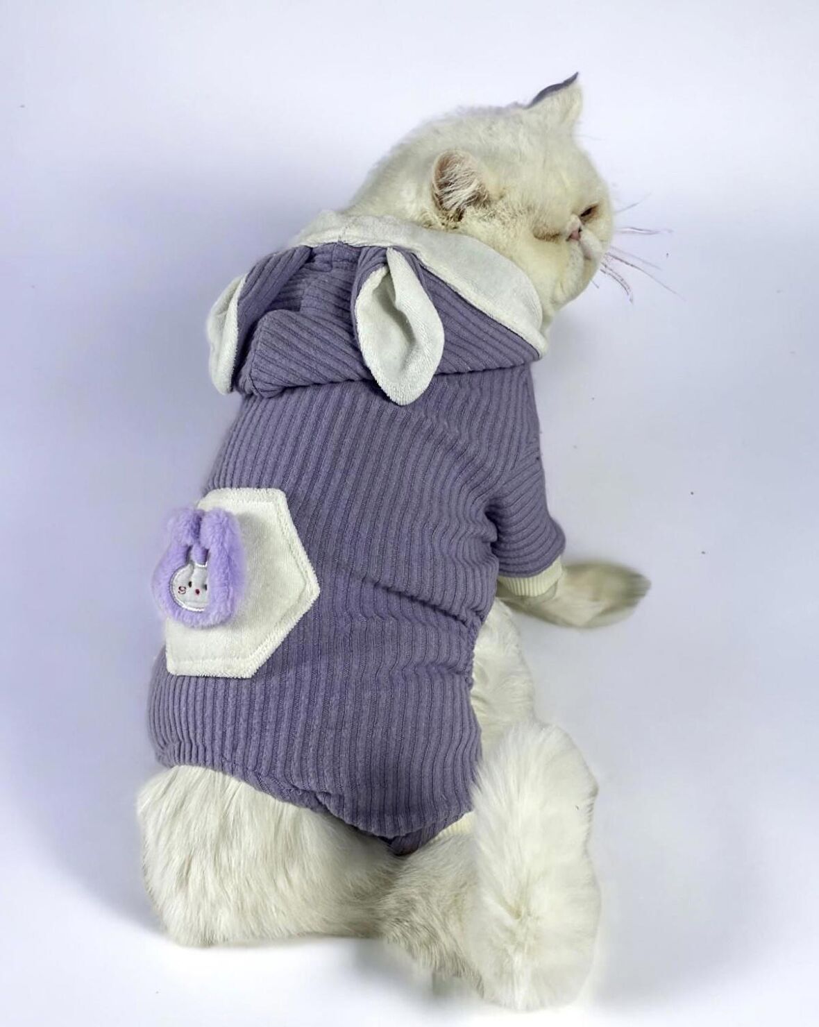 Bunny Boo Kedi Tulumu Kedi Kıyafeti