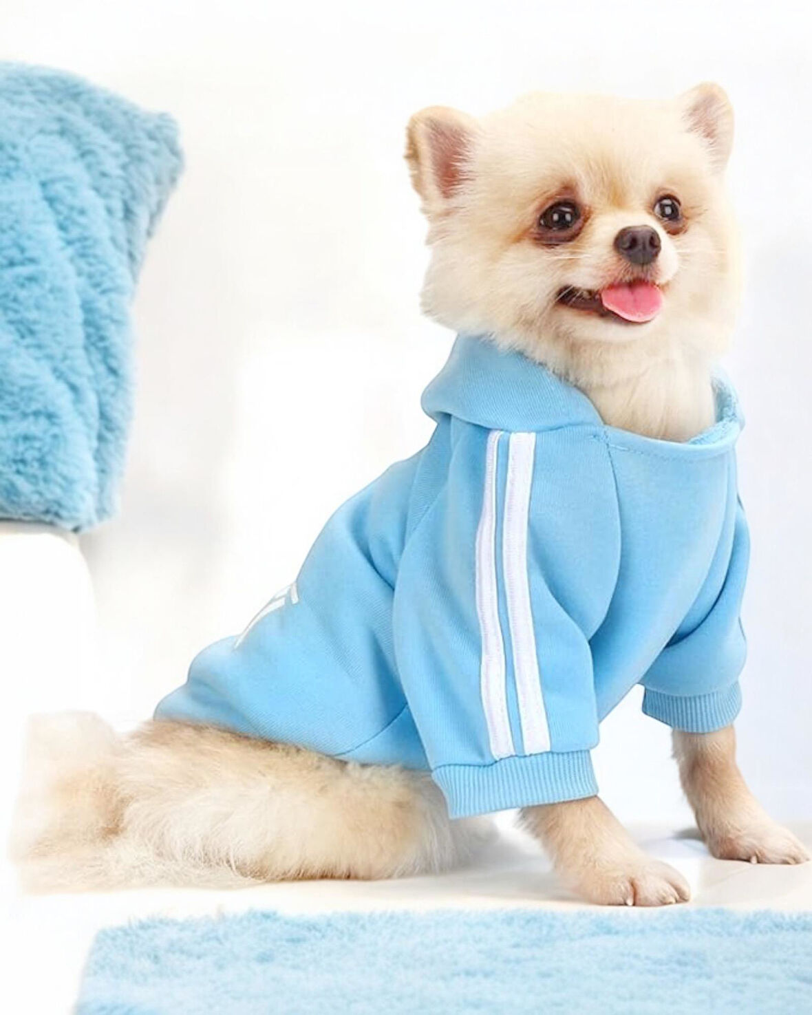 Baby Blue Adidog Kapşonlu Sweatshirt Köpek Kazağı