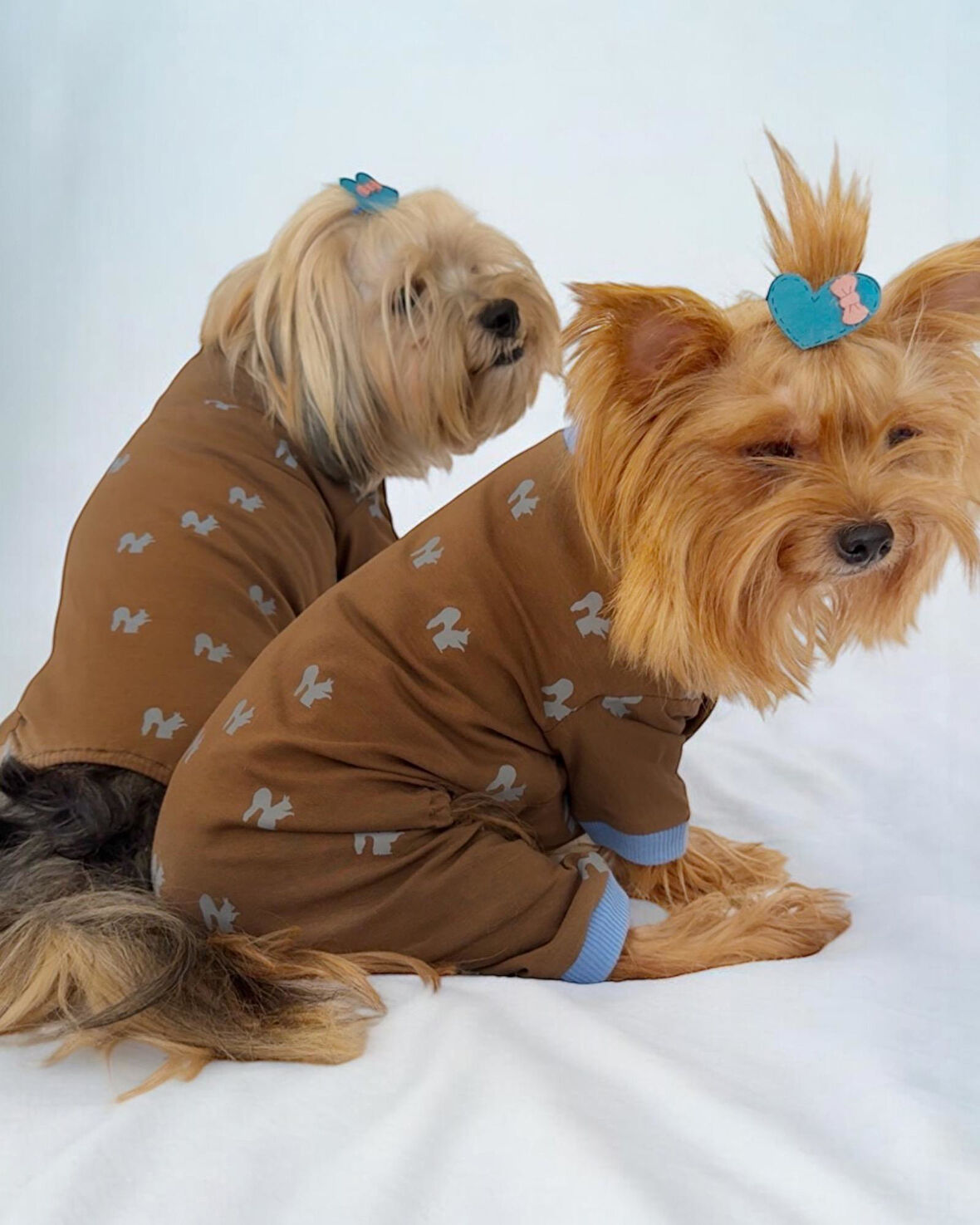 Tatlı Sincap Penye Tulum Köpek Tulumu Köpek Elbisesi