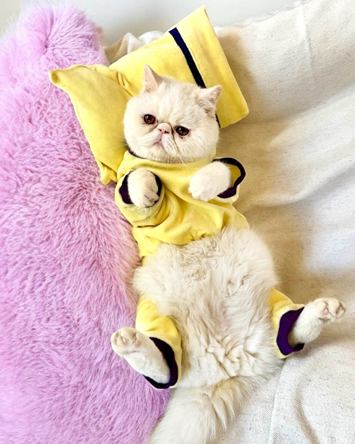 Sunny Teddy Tulum Yastık Takım Uyku Set Kedi Tulum Elbise
