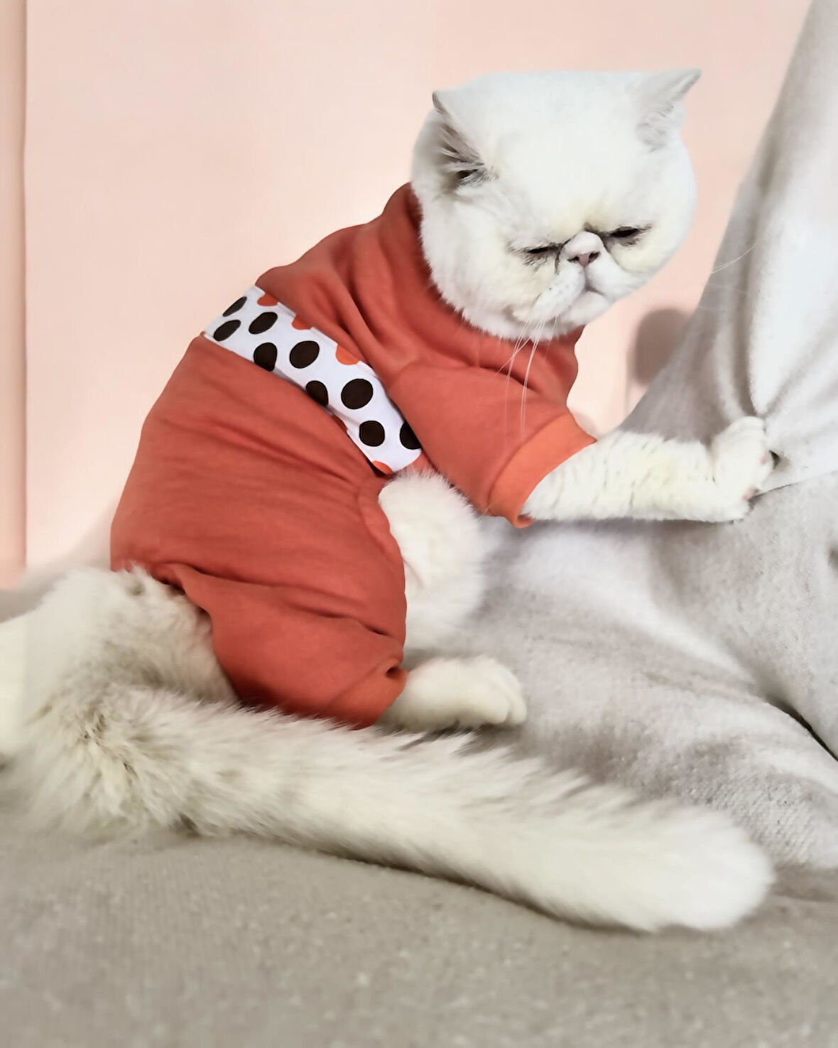 Puanti Kalın Penye Kedi Tulum Pijama