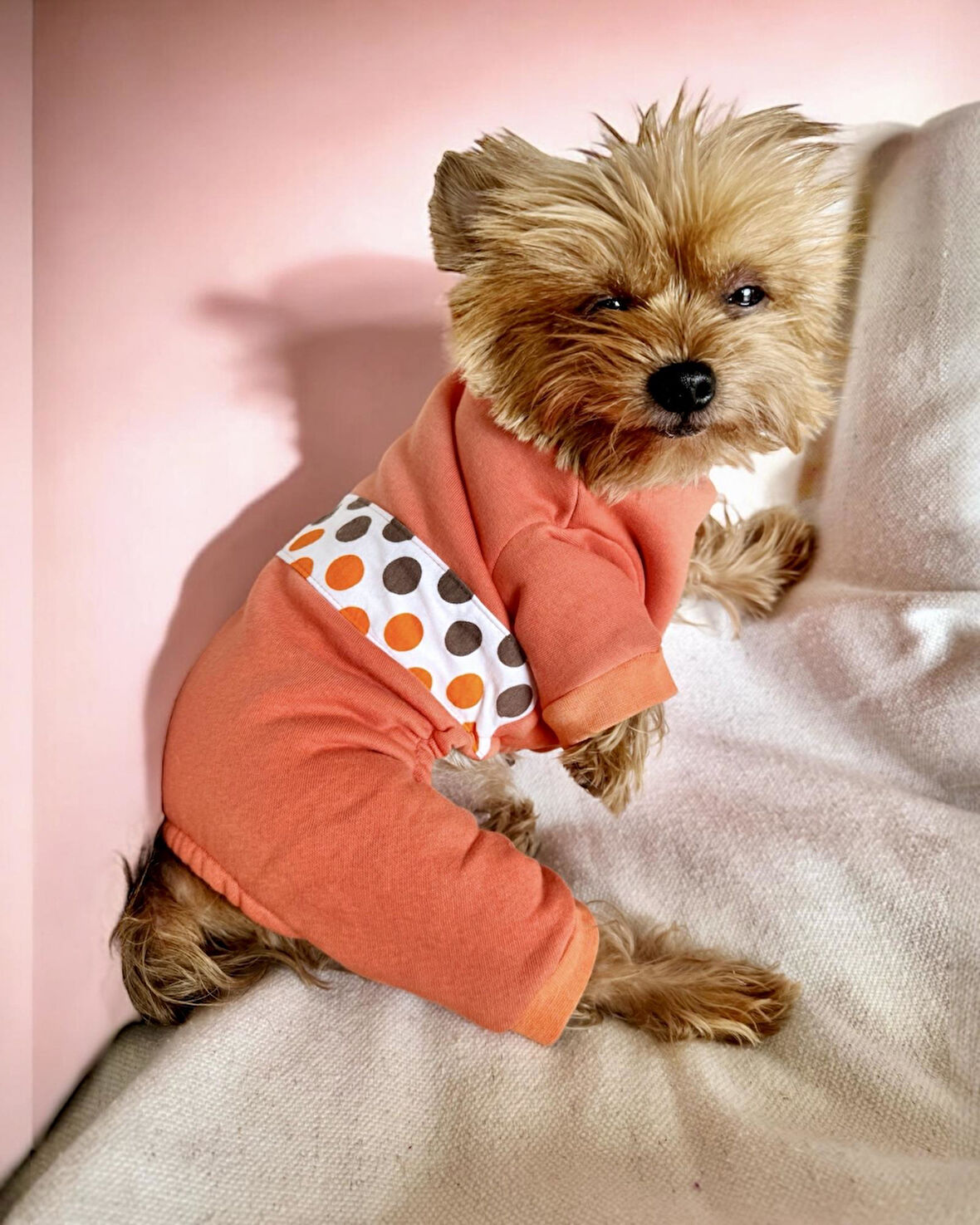 Puanti Kalın Penye Köpek Tulum Pijama