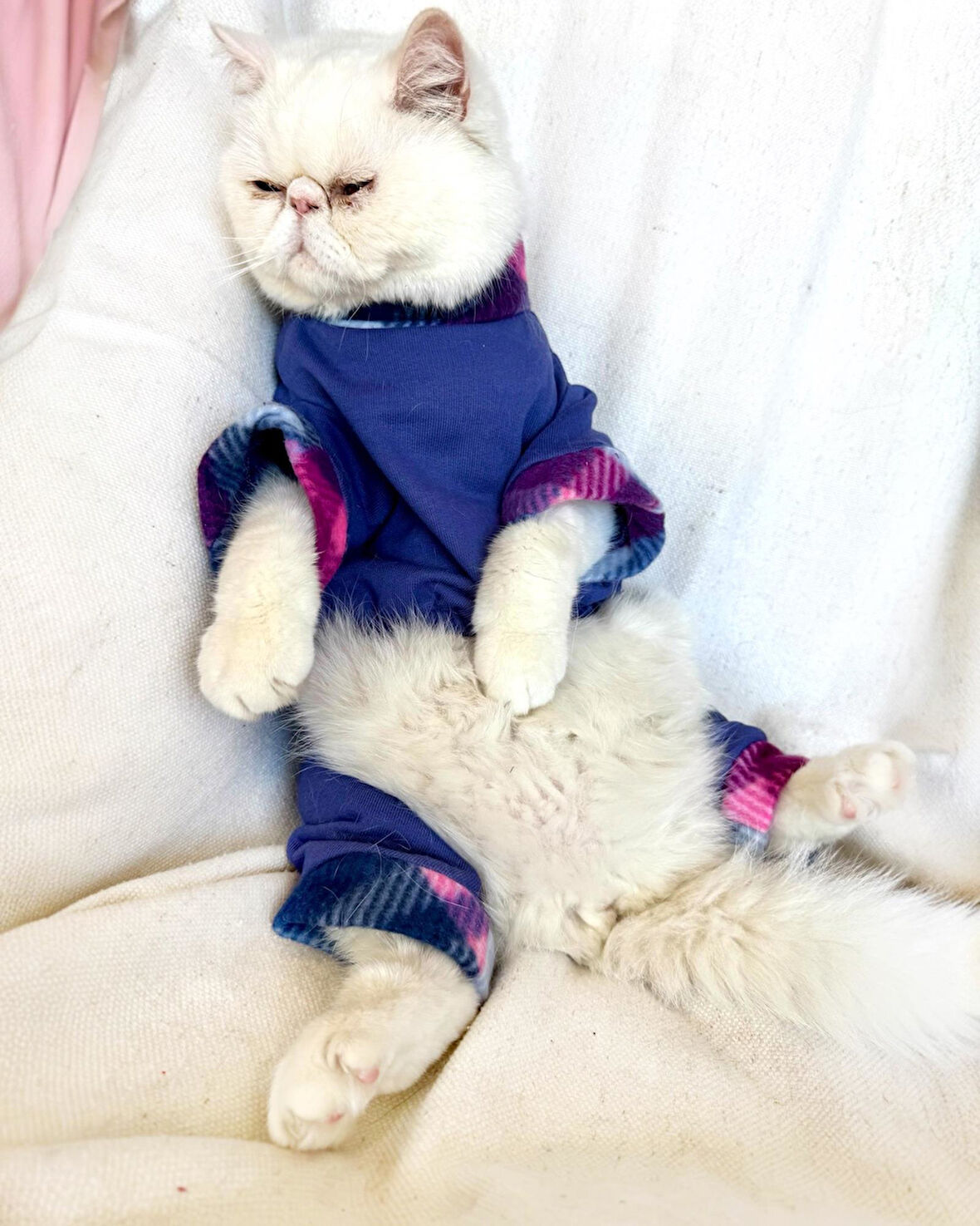 Monogram Purp Polar Kedi Tulum Pijama