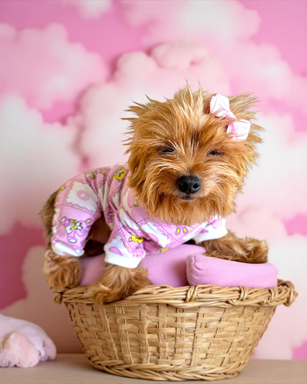 Teddy Toad Penye Köpek Tulum Pijama