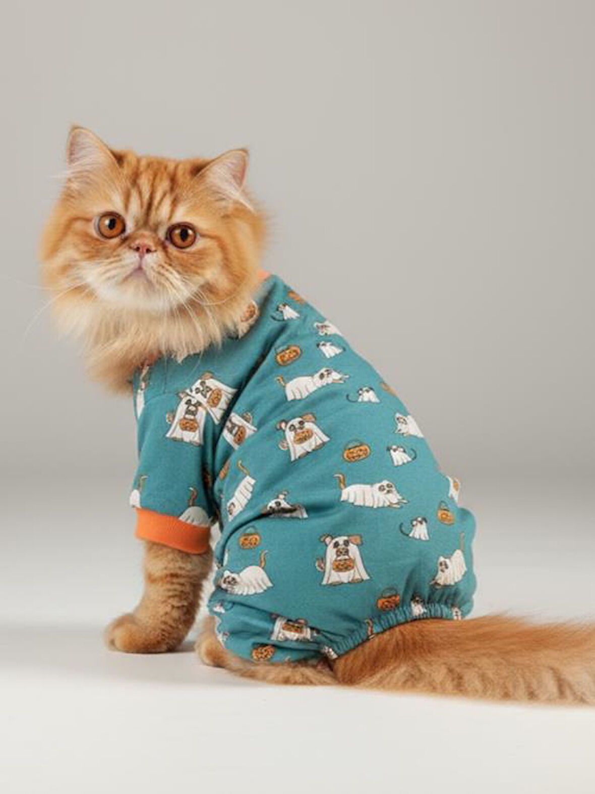 Never Give Up Penye Kedi Tulum Pijama