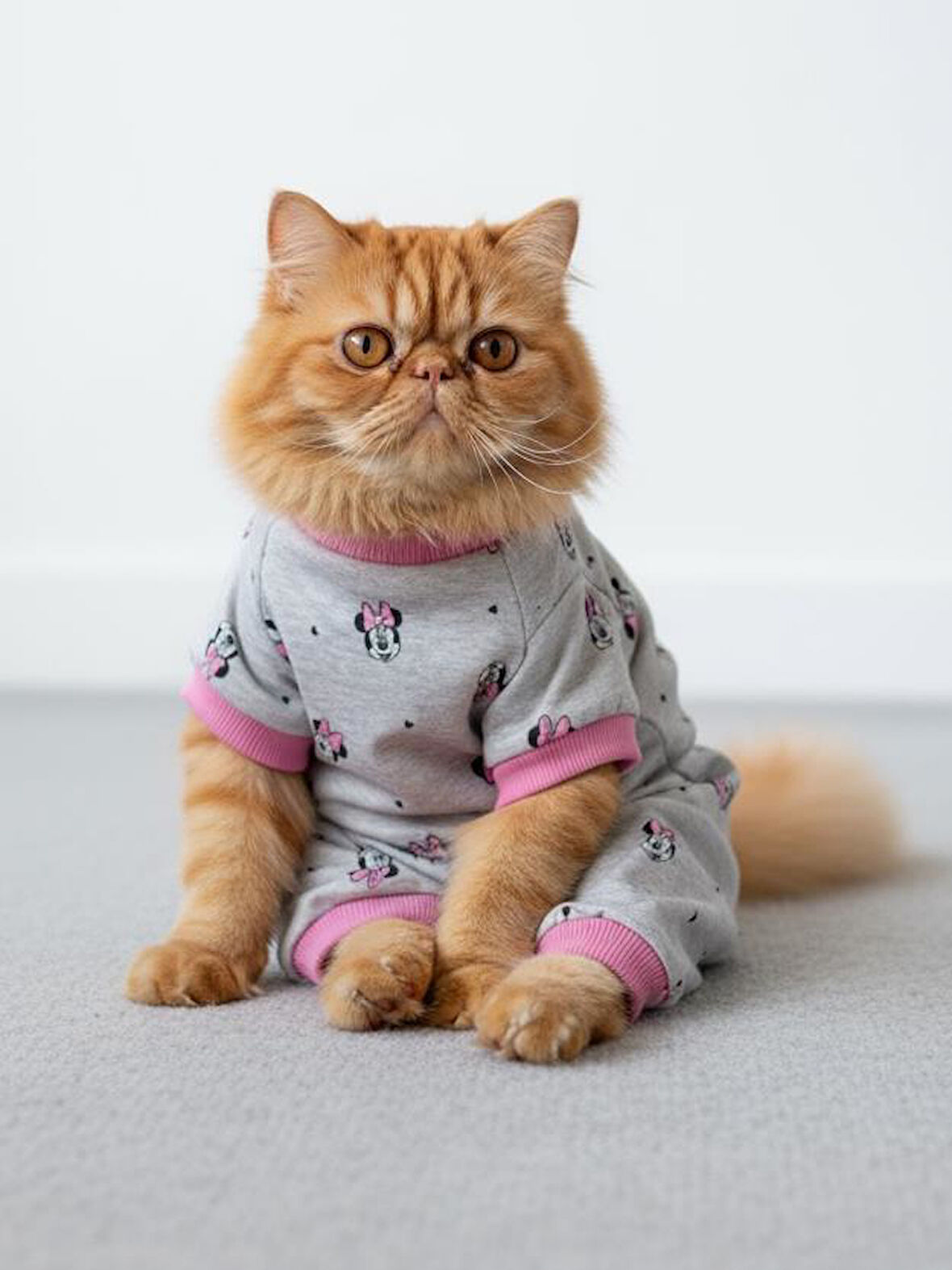 Pink Minnie Kedi Tulumu | Pamuklu Penye Kedi Kıyafeti | Küçük Irklar İçin | Tüy Dökülmesini Azaltır