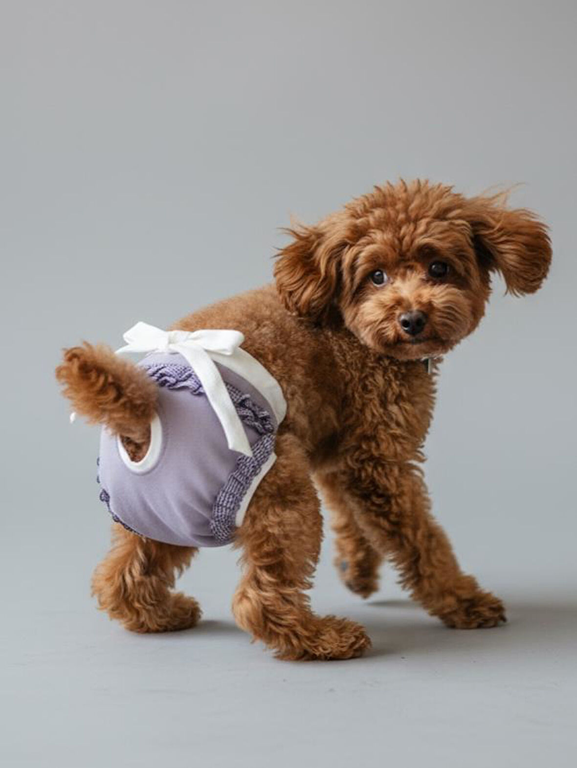 Princess Lila Dişi Köpek Regl Külotu | Köpek Donu | Köpek İç Çamaşırı | Ayarlanabilir Bağcıklı | Küçük Irklar İçin