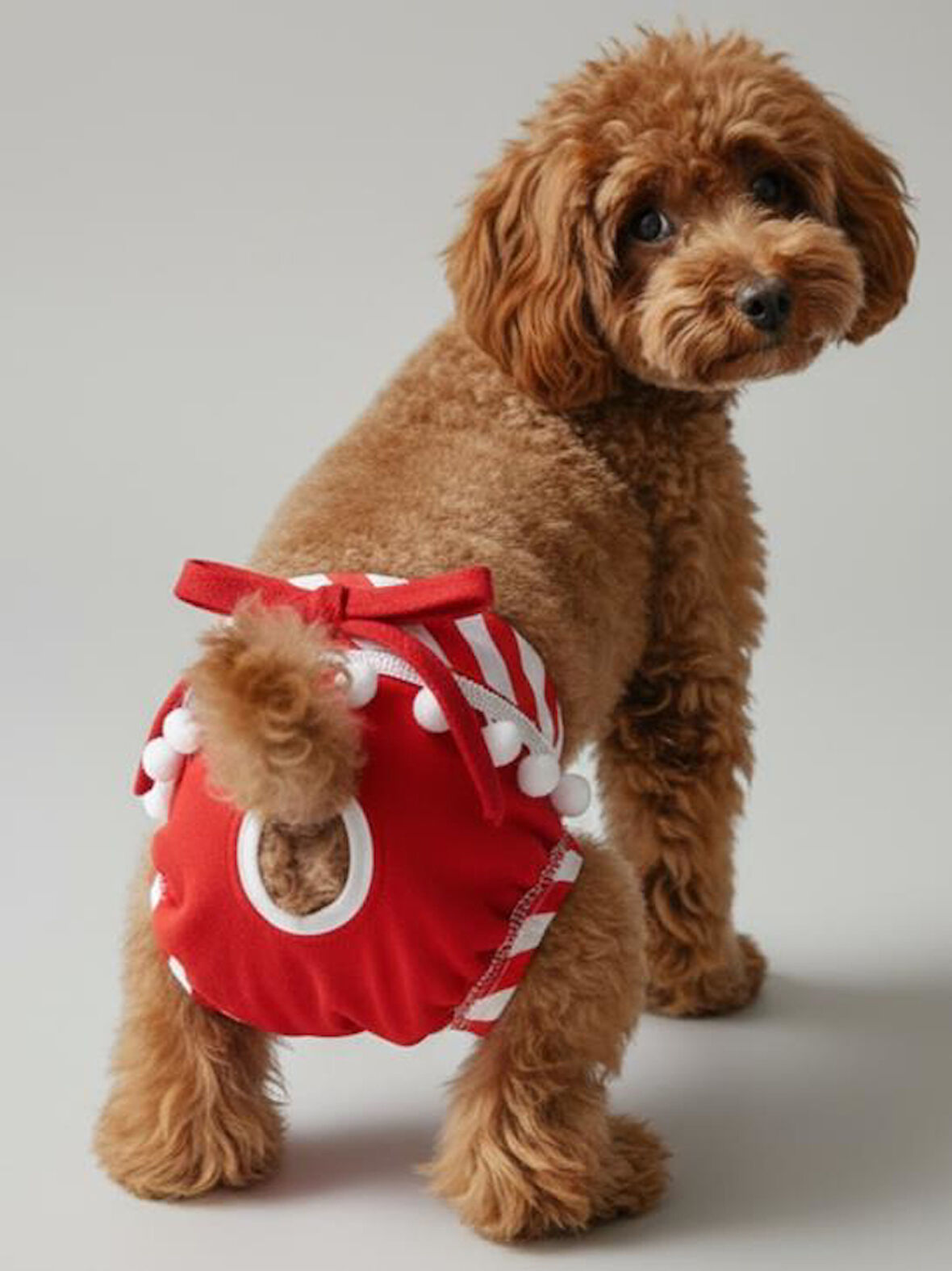 Red Frilly Dişi Köpek Regl Külotu | Köpek Donu | Köpek İç Çamaşırı | Ayarlanabilir Bağcıklı | Küçük Irklar İçin