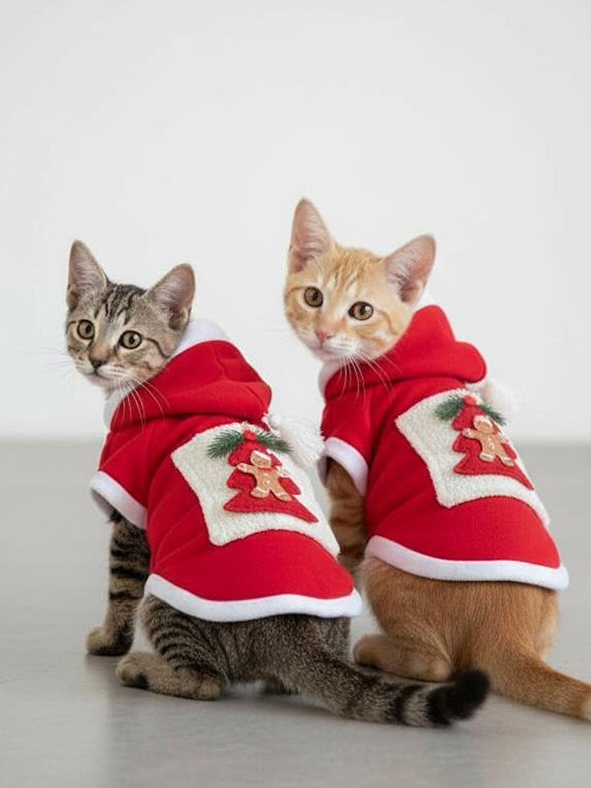 Yılbaşı Ağacı Premium Kırmızı Polar Kedi Kıyafeti | Kapüşonlu Noel Kedi Sweatshirt