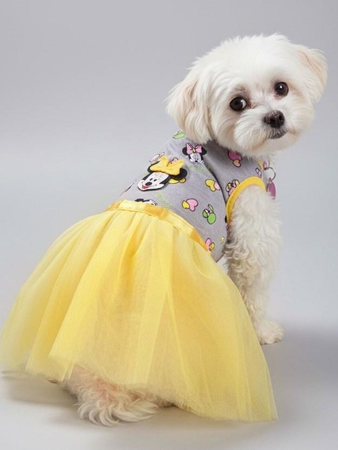 Sevimli Fare Sunny Tütü Köpek Kıyafeti | Sarı Tütülü Elbise | Küçük Irk Köpekler İçin