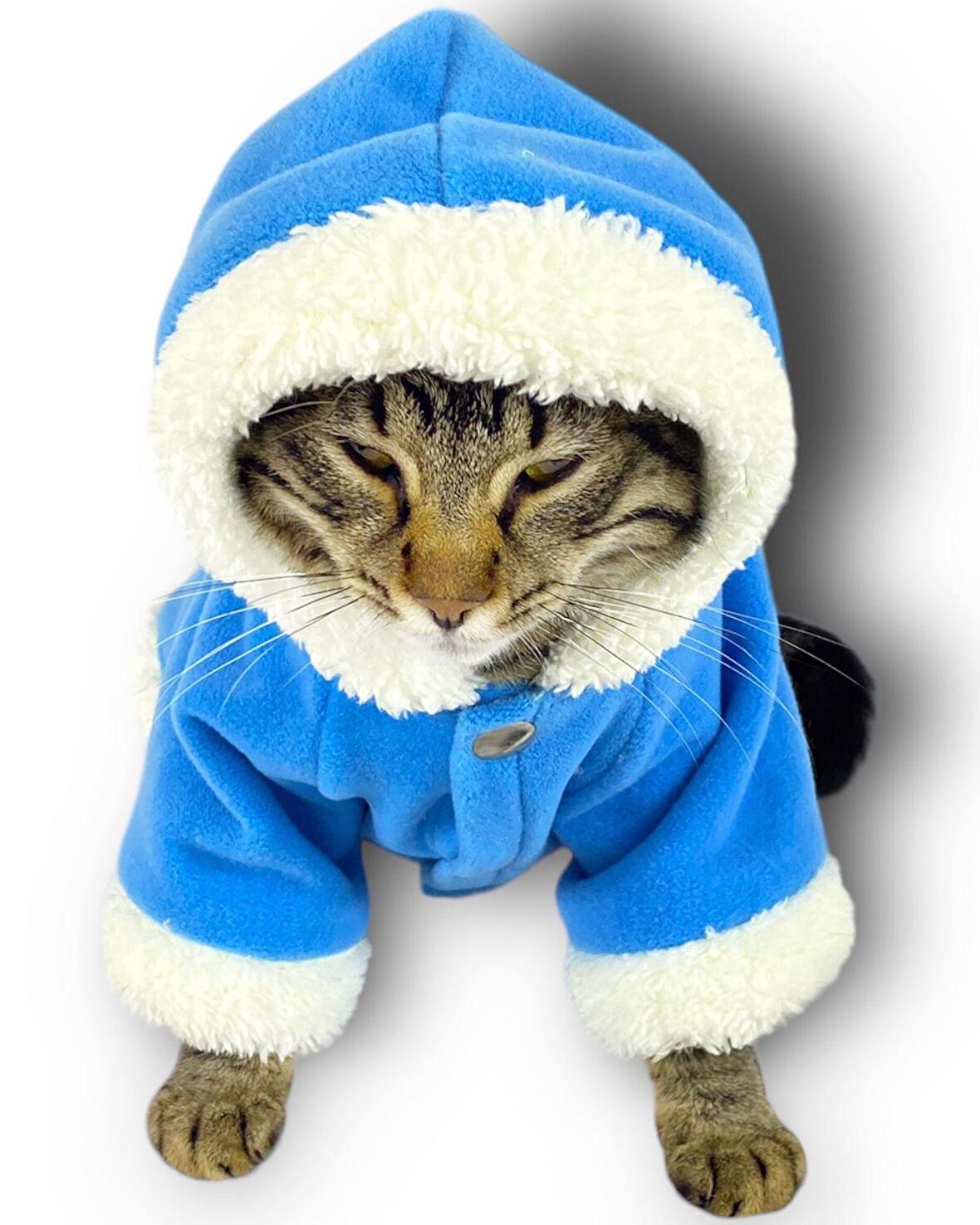 Blue Furry Kapşonlu Sweatshirt Ceket Kedi Süeteri Kıyafeti 