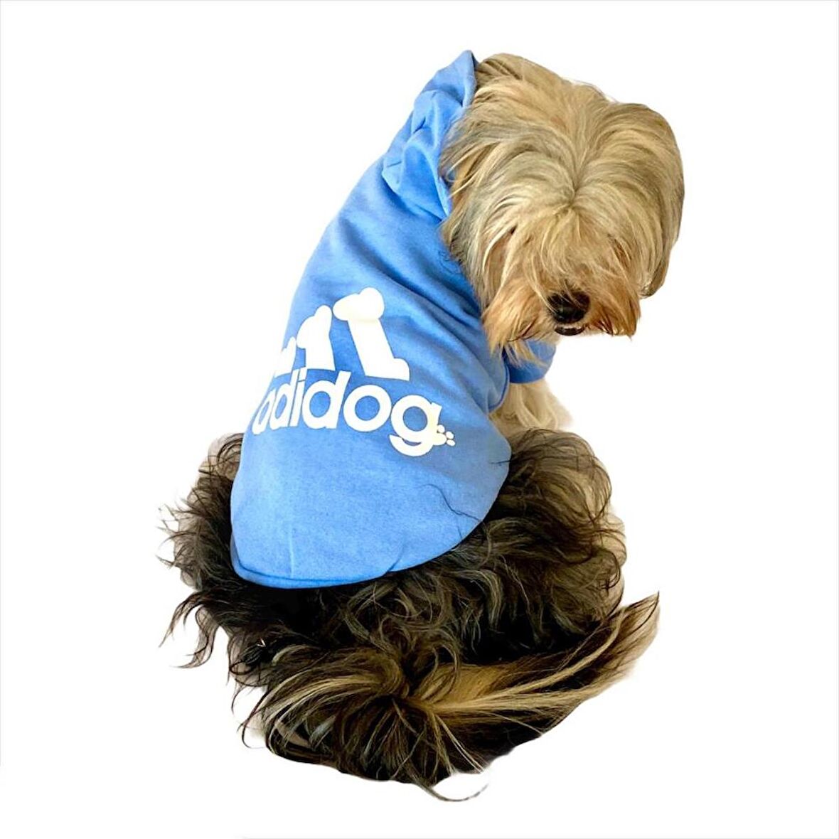 Bebek Mavisi Duo Adidog Kapşonlu Köpek Sweatshirt Köpek Kazağı