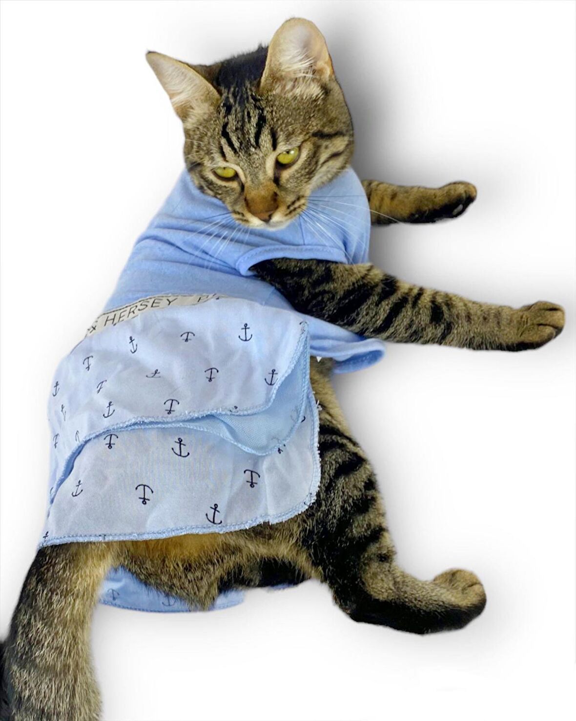 Blue Hersey Beck Kedi Elbisesi Kedi Kıyafeti 