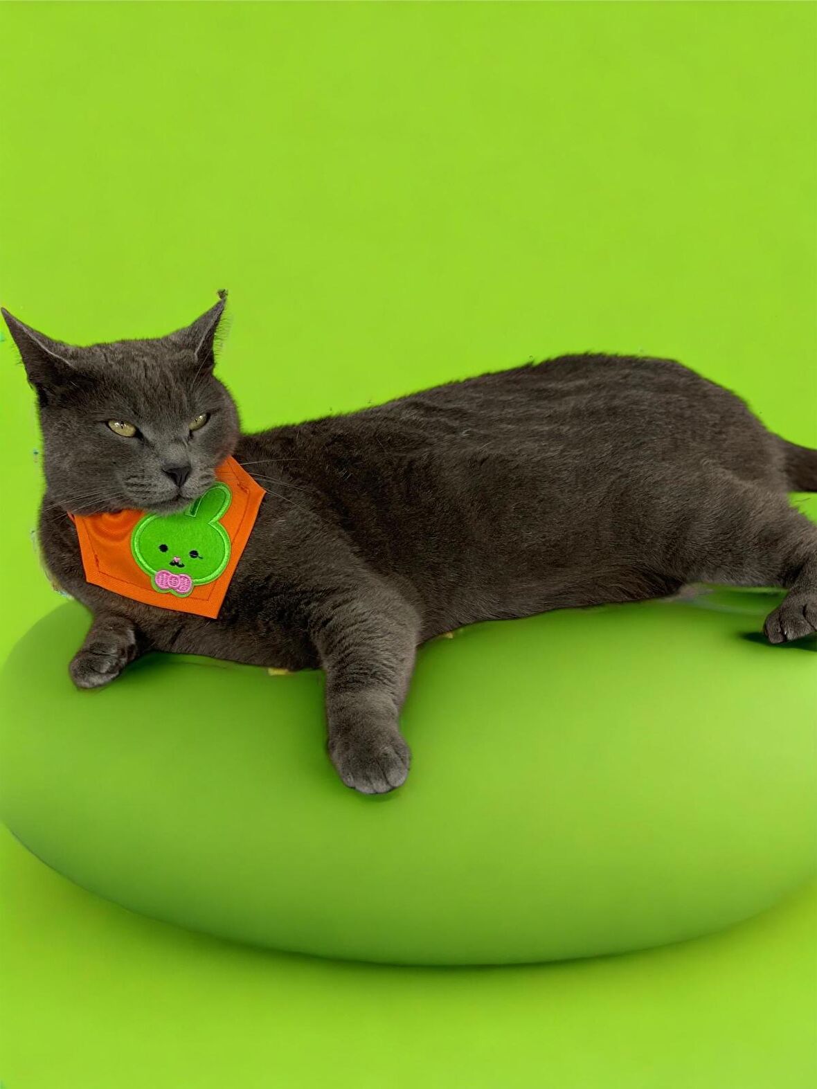 Green Bunny Kedi Bandana, Fular, Kedi Kıyafeti Kedi Elbisesi, Kedi Tasması