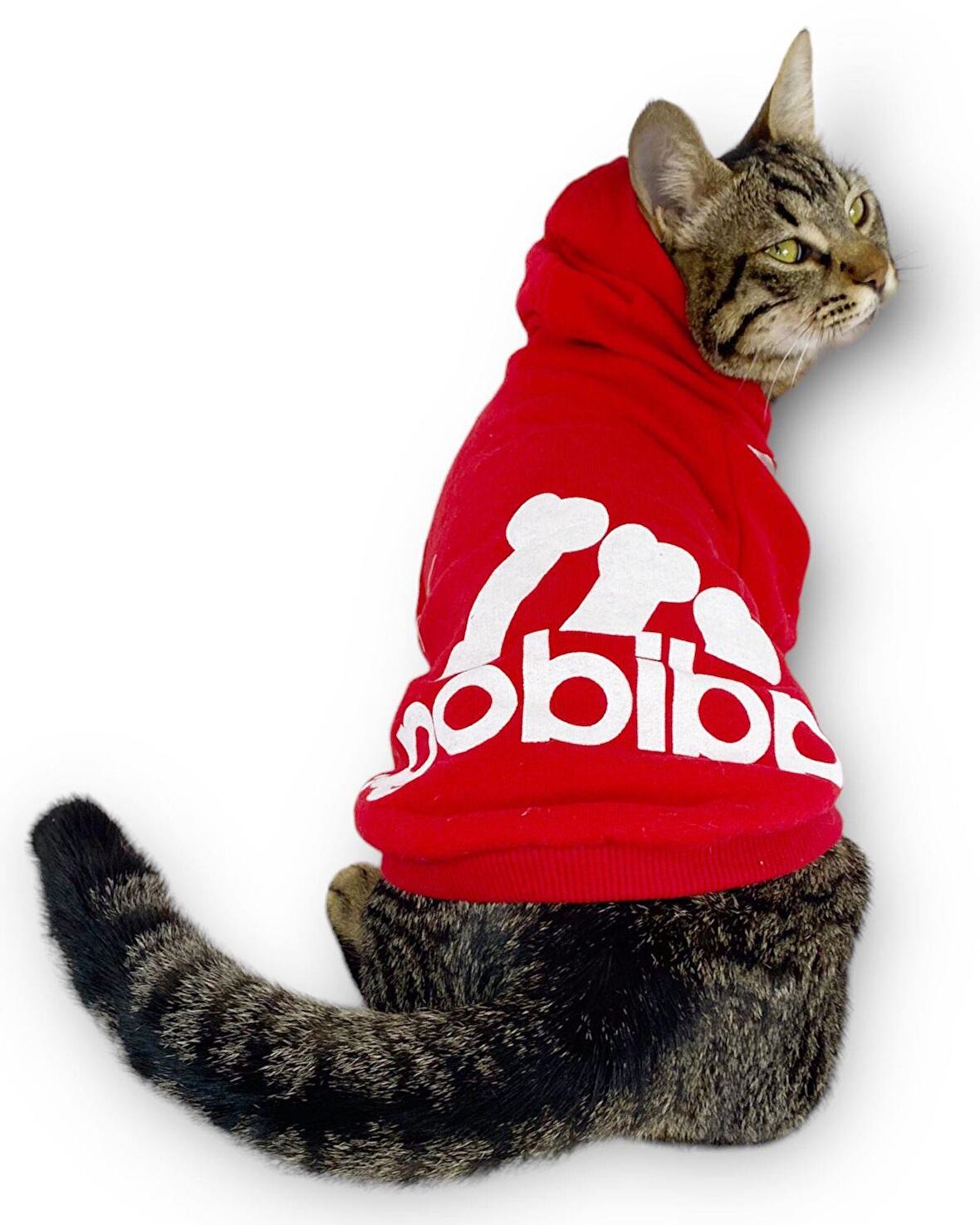 Kırmızı Adidog Kapşonlu Kedi Sweatshirt Kedi Kazağı Duo 