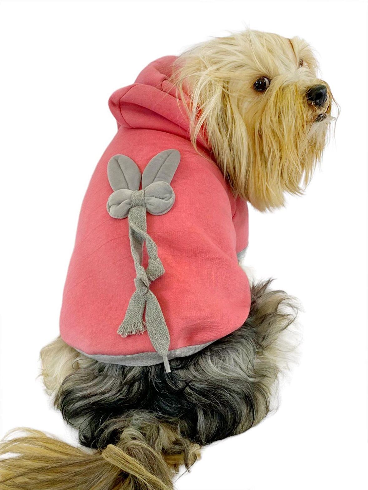 Pinky Rabbit Kapşonlu Sweatshirt Köpek Kıyafeti Köpek Elbisesi 