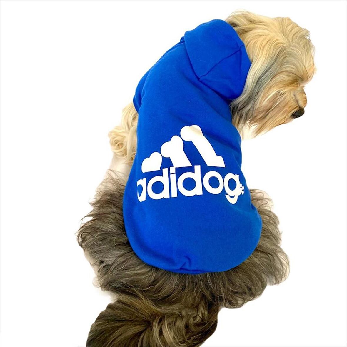 Saks Mavi Adidog Kapşonlu Duo Köpek Sweatshirt Köpek Kazağı