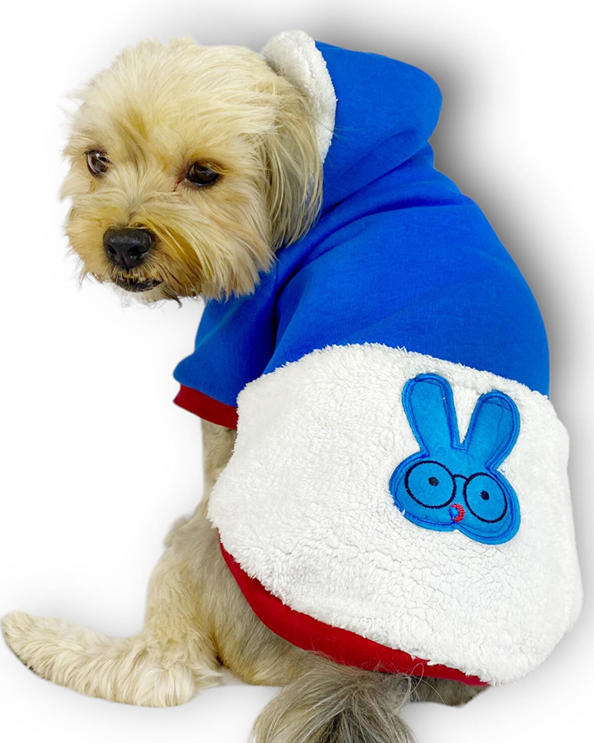 Sweet Blue Rabbit Kapşonlu Sweatshirt Köpek Kıyafeti Köpek Elbisesi 
