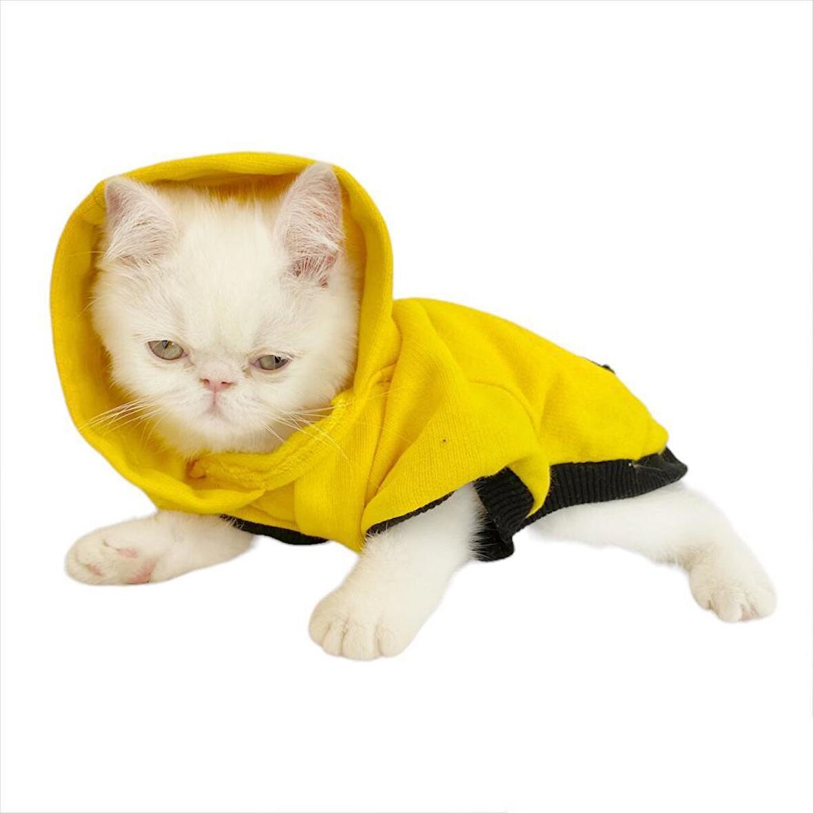 Yellow Lux Duo Sweatshirt Kapşonlu Kedi Kıyafeti Kedi Sweatshirt