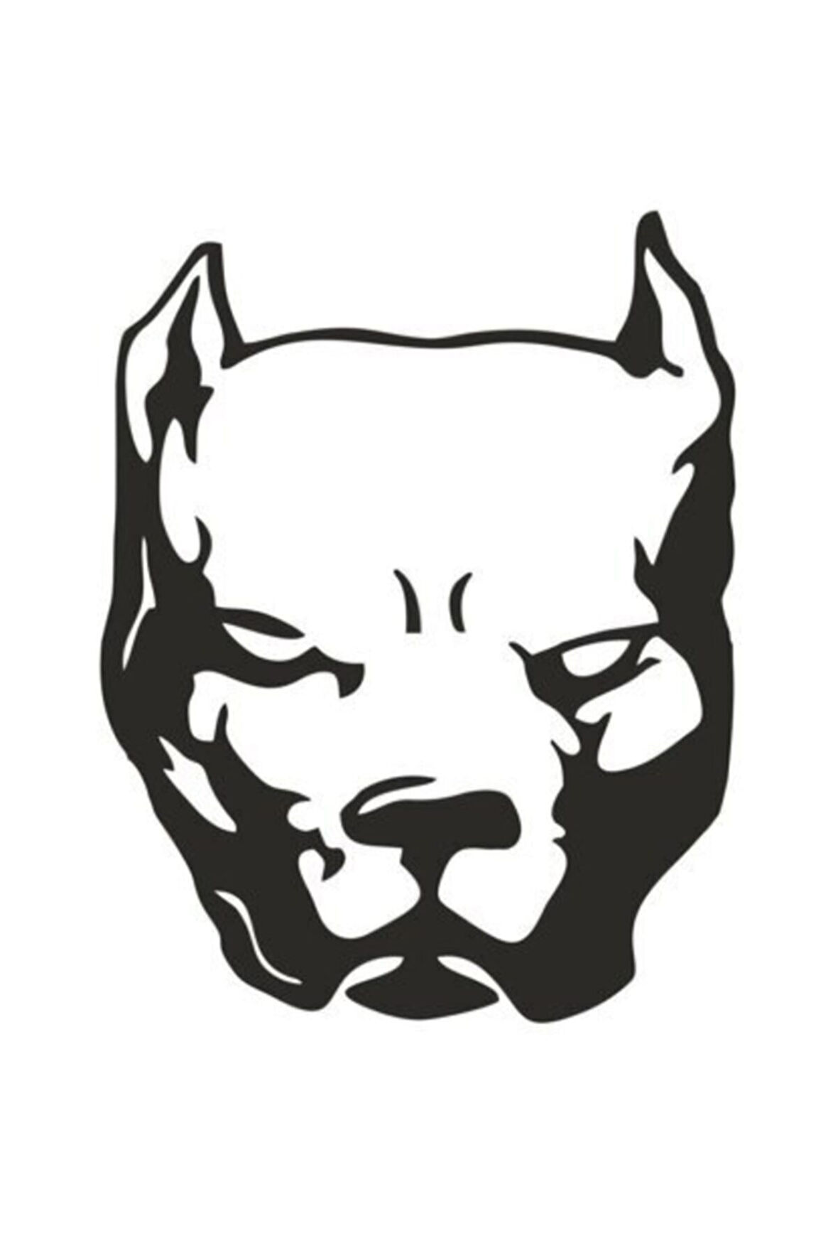 Pitbull Duvar Dekor Sticker 40 x 48 cm