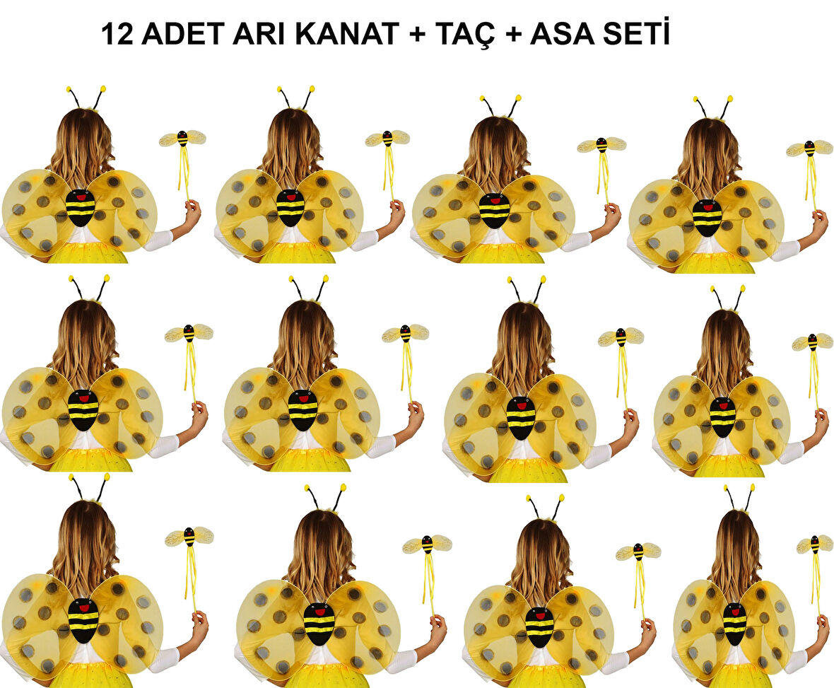 KENPAZAR Okul Gösterileri için Arı Kanadı Seti - Etkinlik Kanatları