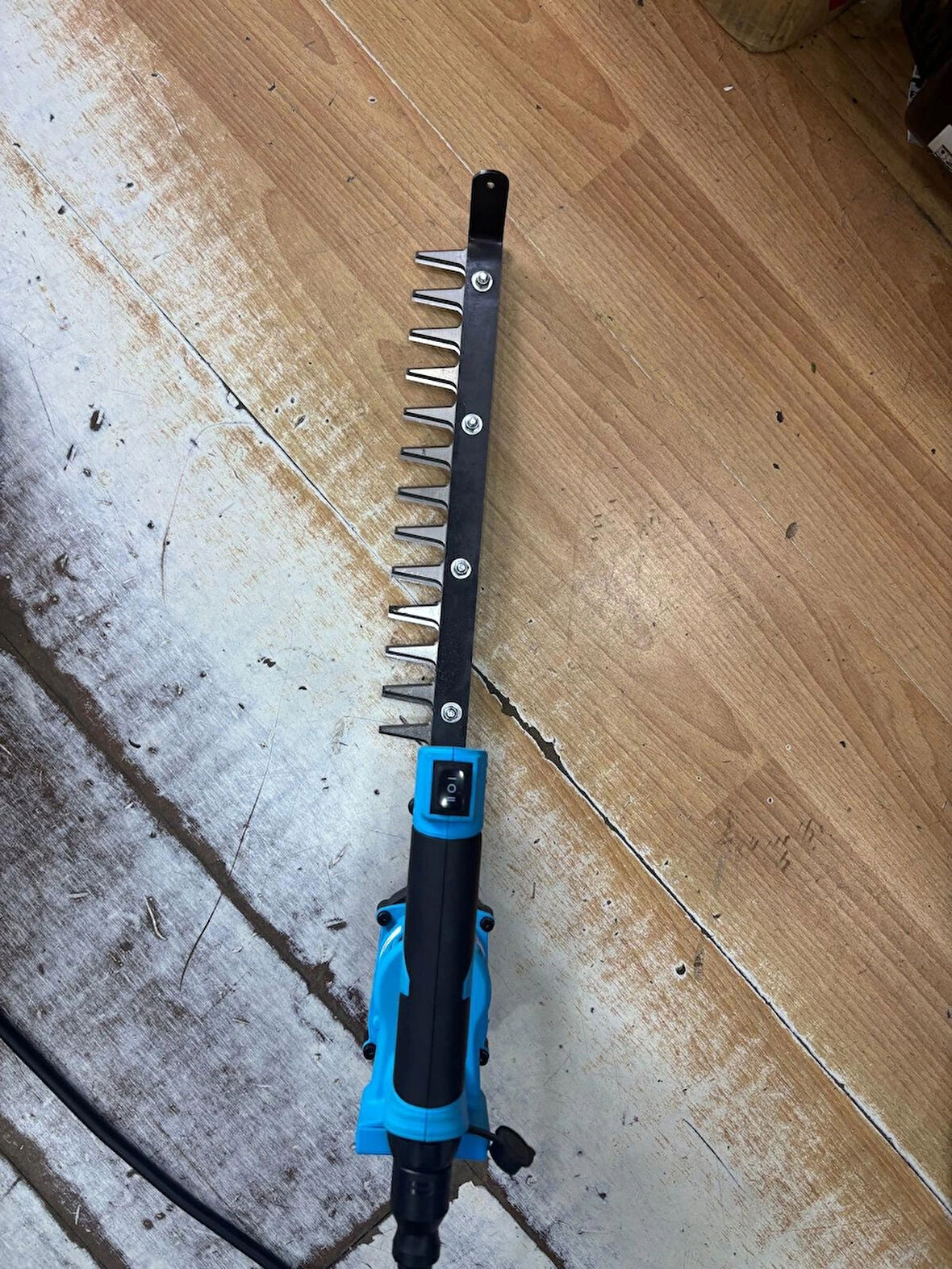 FINDIK DİBİ FİLİZ ALMA MAKİNASI