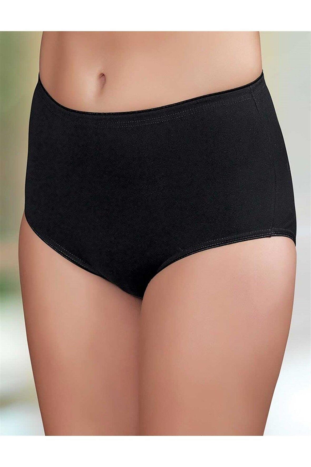 Gümüş Kadın İnce Lastikli Likralı Bato Külot 3042/3043 - 6 Adet