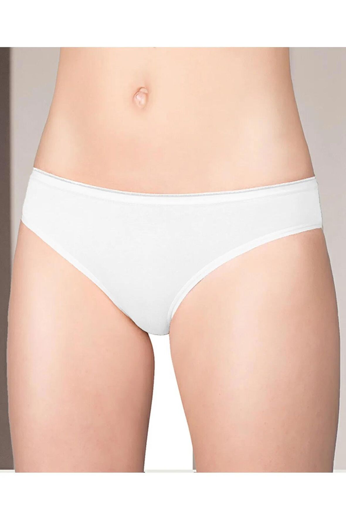 Berrak Kadın Modal Bikini Külot 2320 - 12 Adet