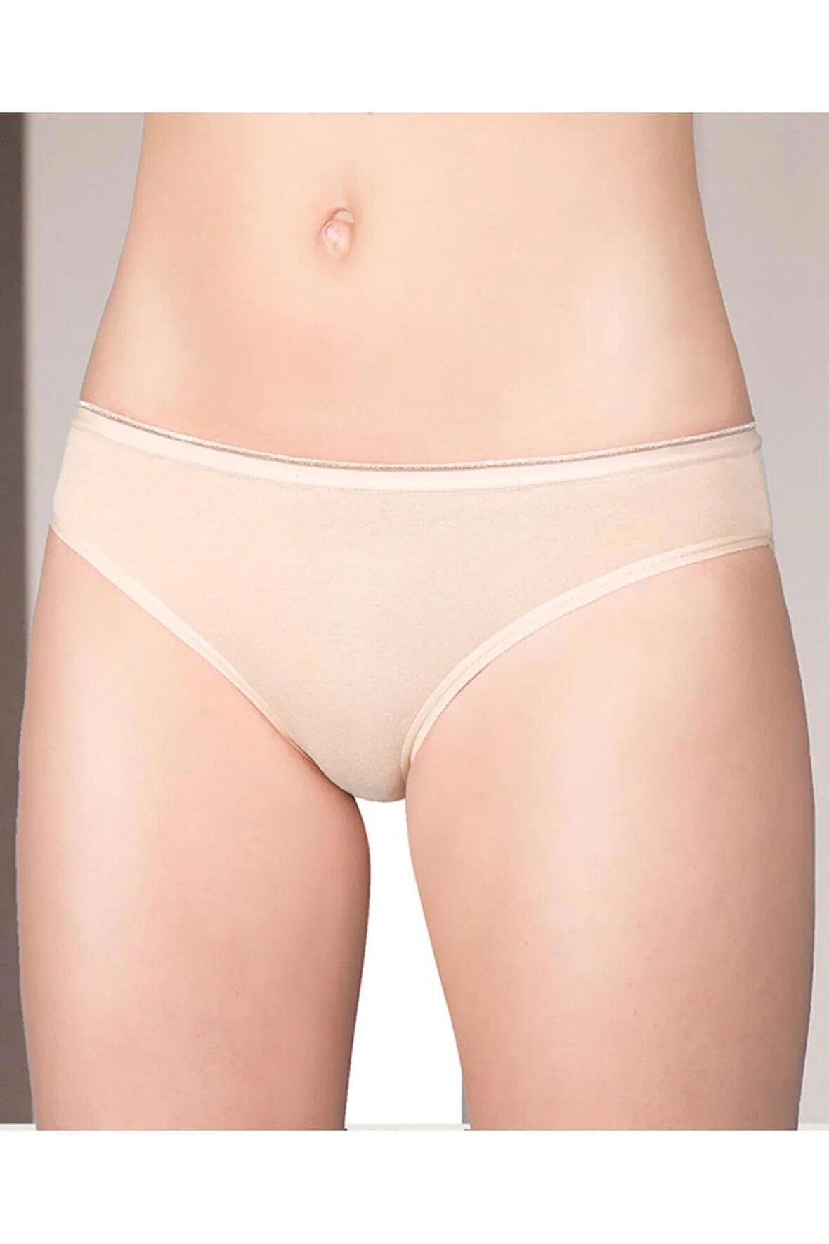 Berrak Kadın Modal Bikini Külot 2320 - 12 Adet