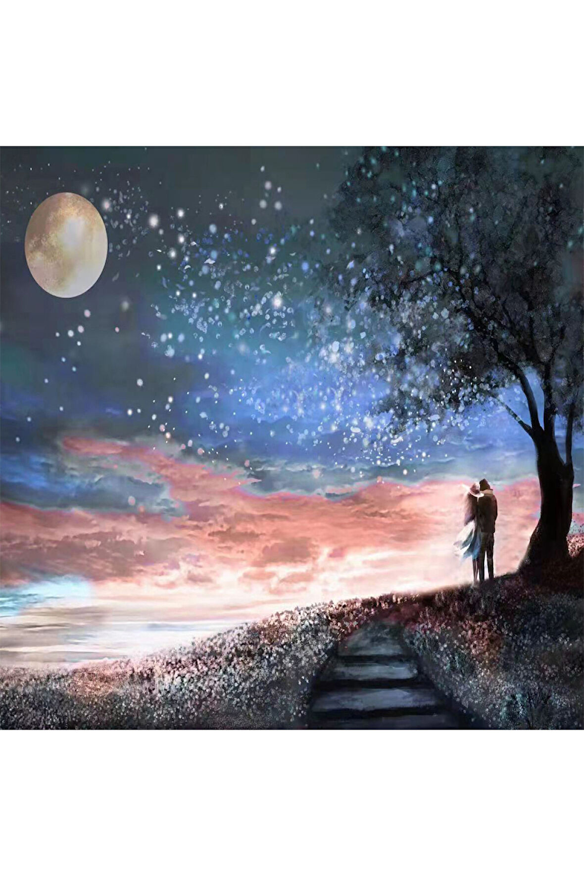 Canvas Dolunayda Aşk Sayılarla Boyama Seti   Kasnaklı 40 x 50 cm