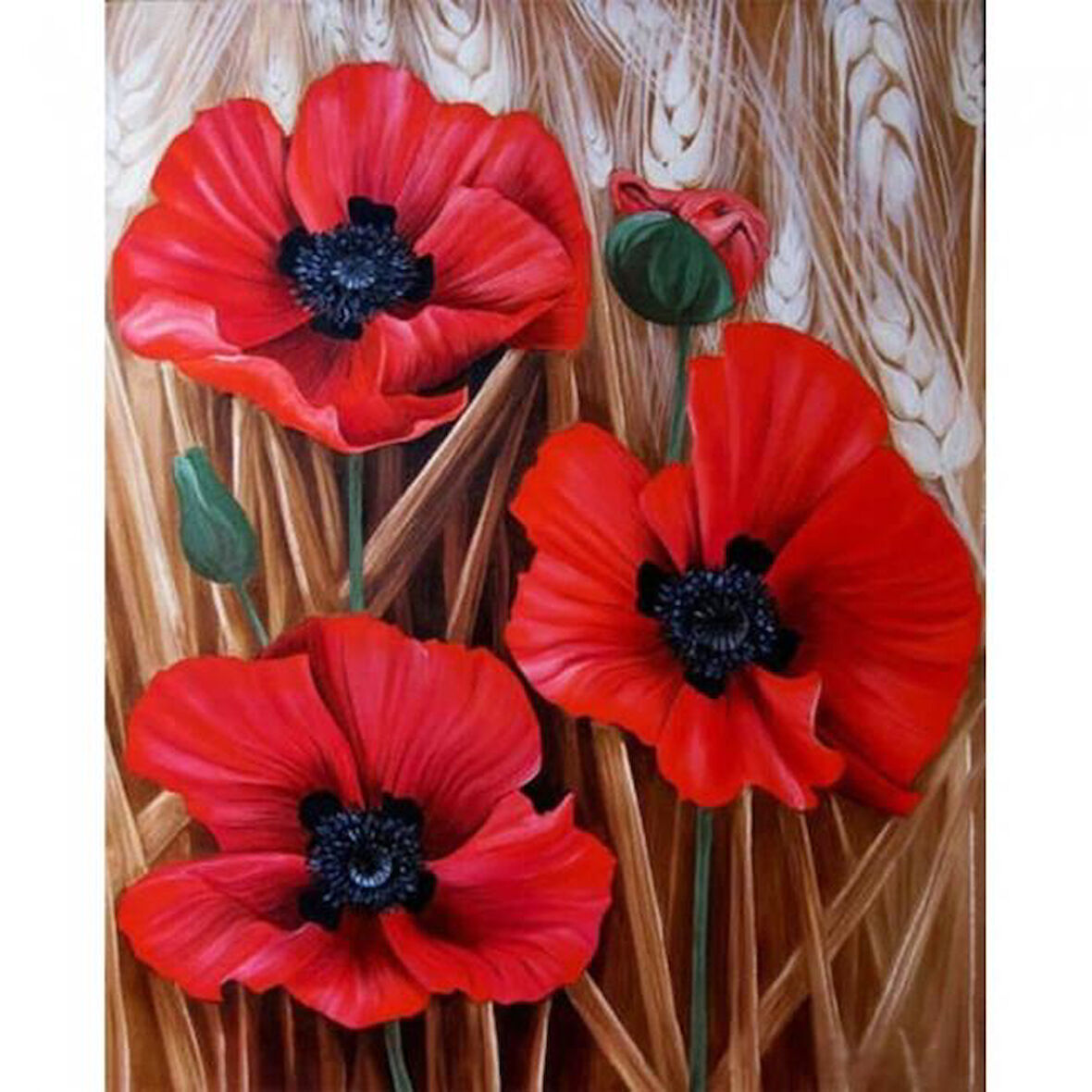 Canvas Başak ve Gelincik Renkli Sayılarla Boyama Seti  Kasnaklı 40 x 50 cm