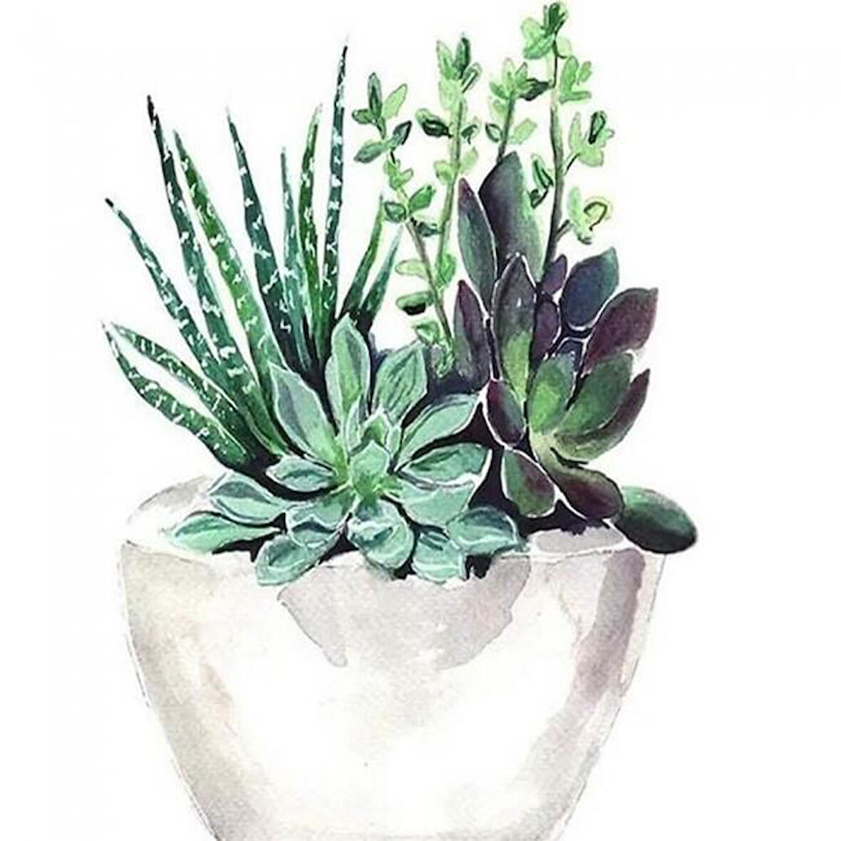 Canvas Saksıdaki Çiçekler Sayılarla Boyama Seti  Kasnaklı 40 x 50 cm